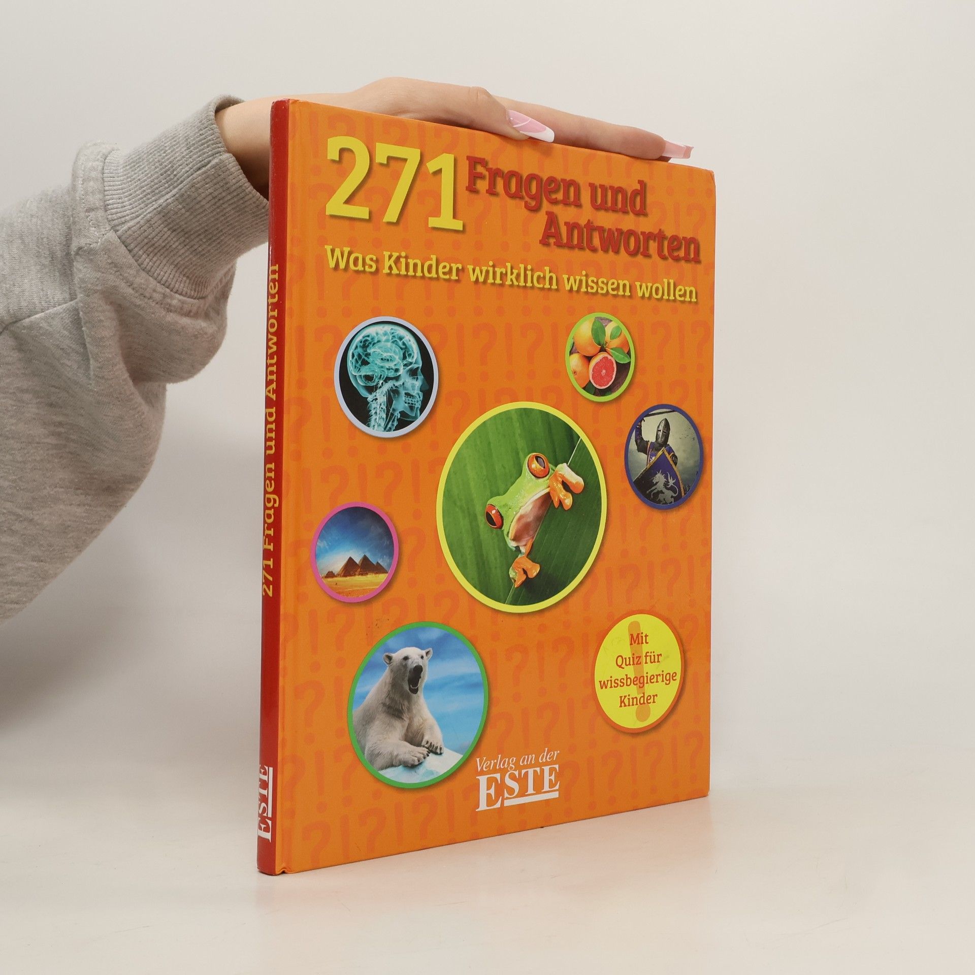 kolektiv 271 Fragen und Antworten