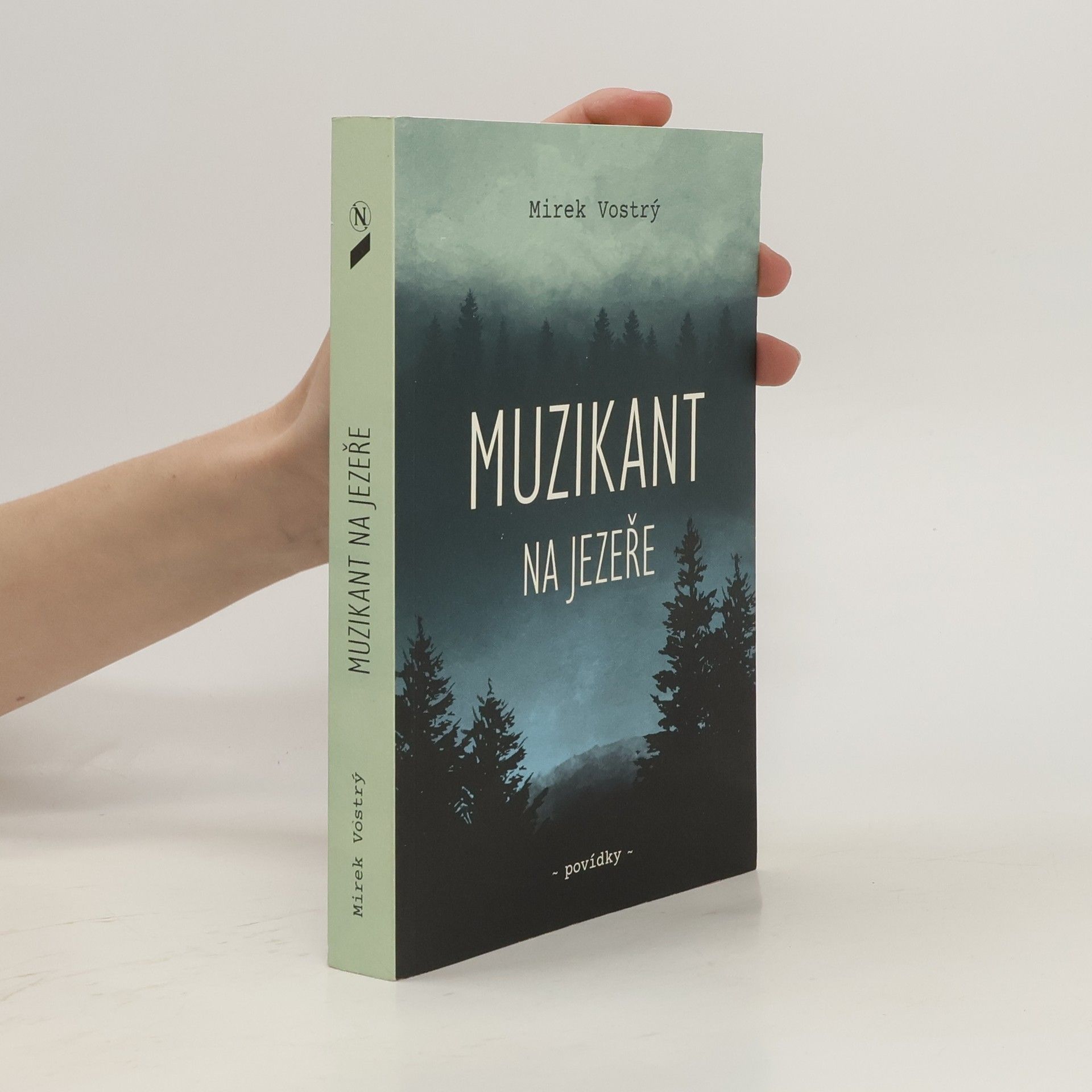 Mirek Vostrý Muzikant na jezeře