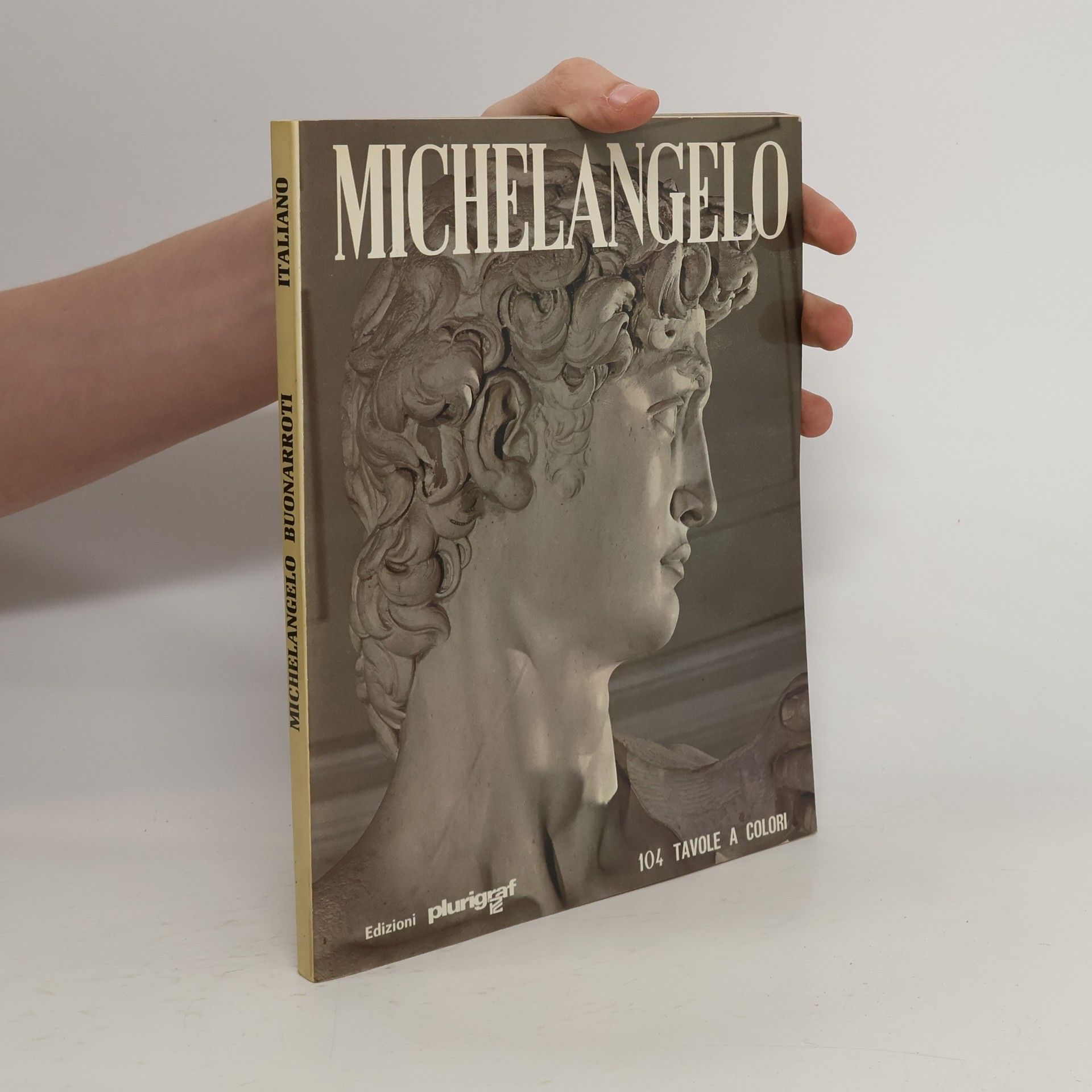 AA.VV. Michelangelo Buonaroti