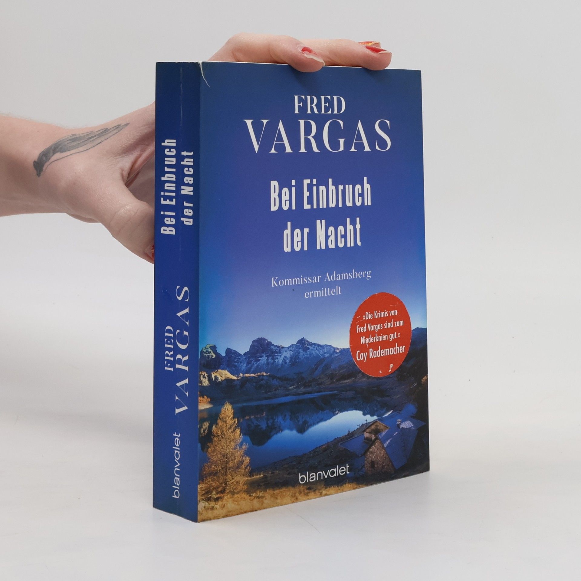 Fred Vargas Bei Einbruch der Nacht