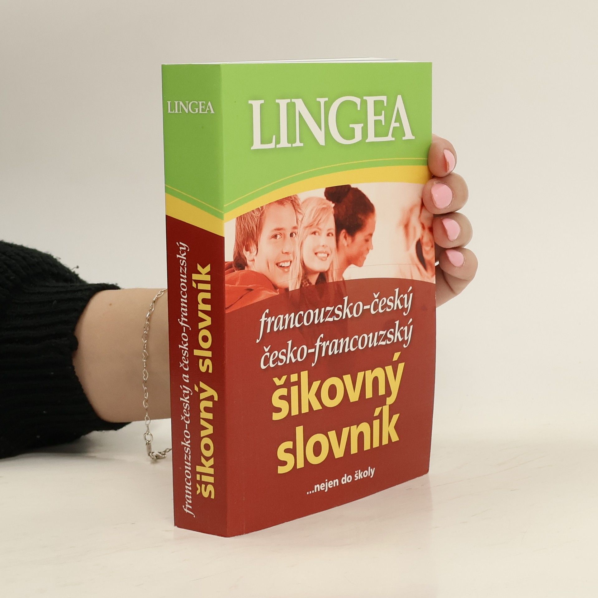 kolektiv Francouzsko-český, česko-francouzský šikovný slovník