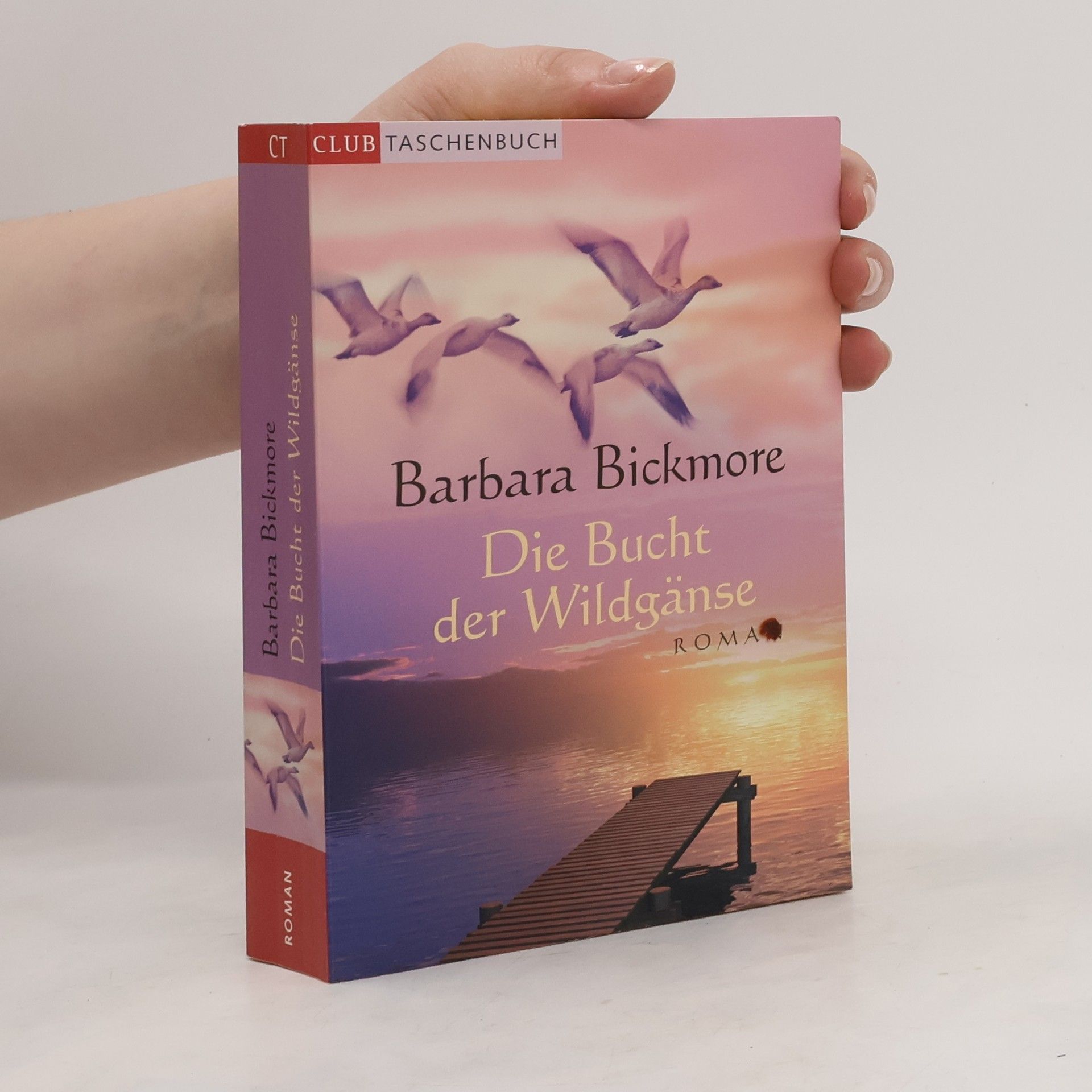 Barbara Bickmore Die Bucht der Wildgänse