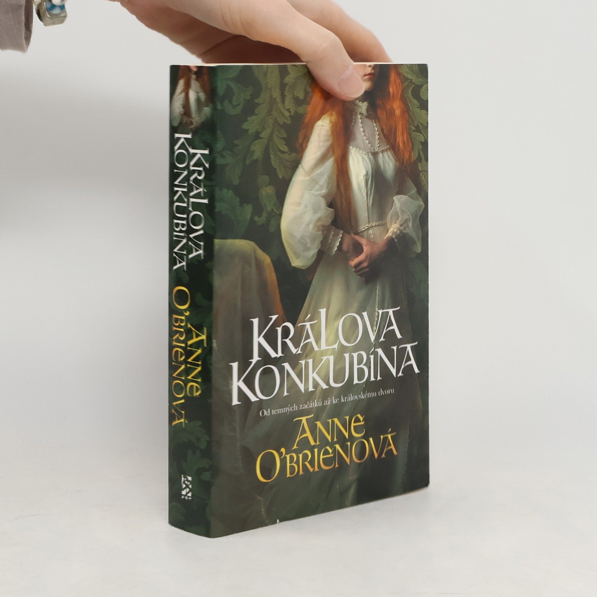 Anne O. Brien Králova konkubína