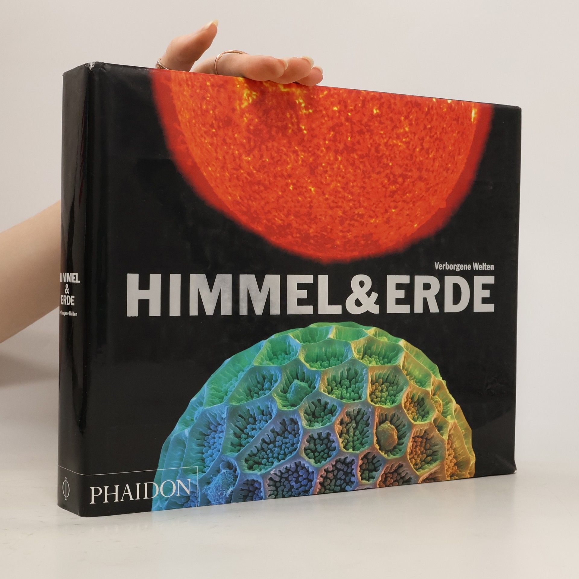 Amanda Renshaw Himmel & Erde