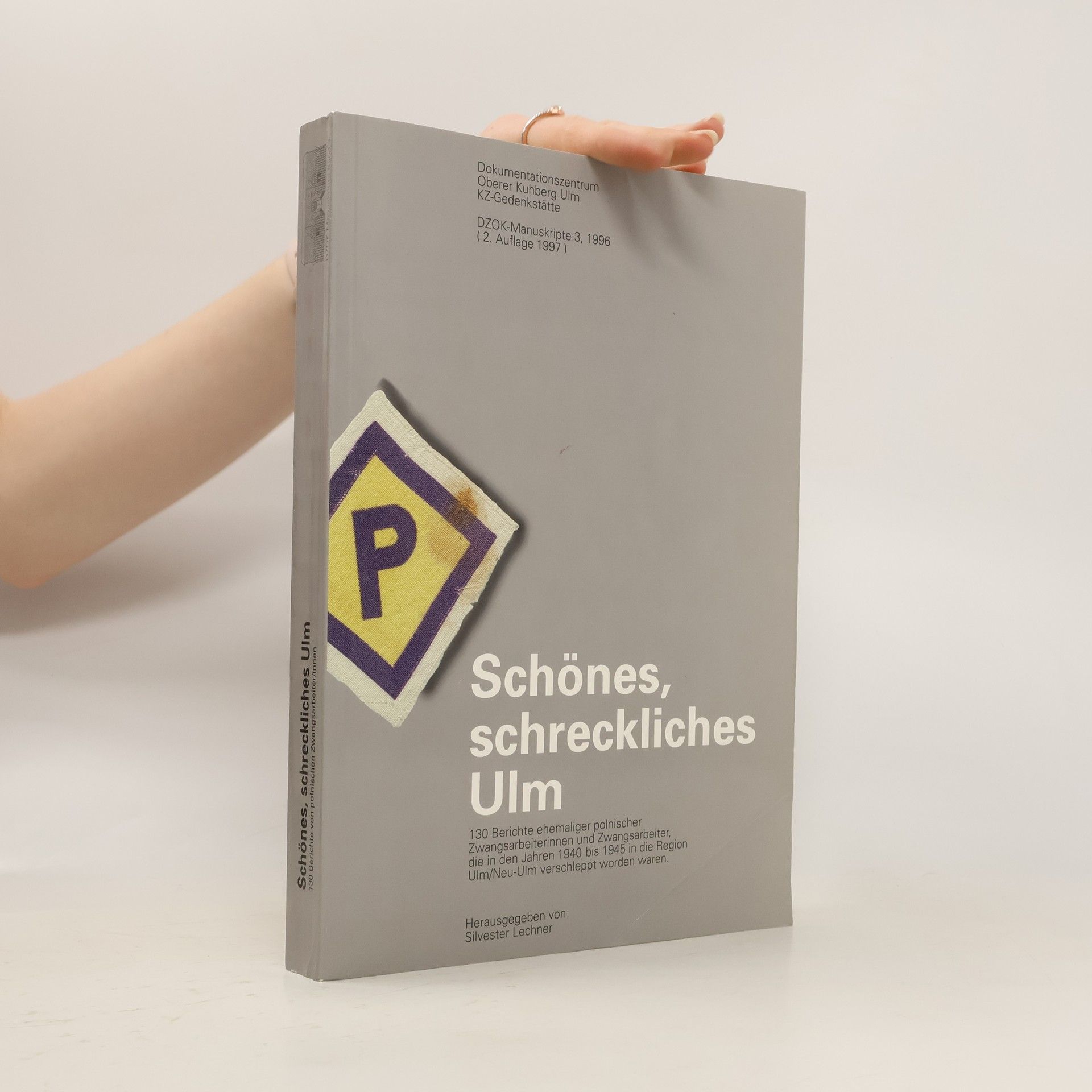 Silvester Lechner Schönes, schreckliches Ulm