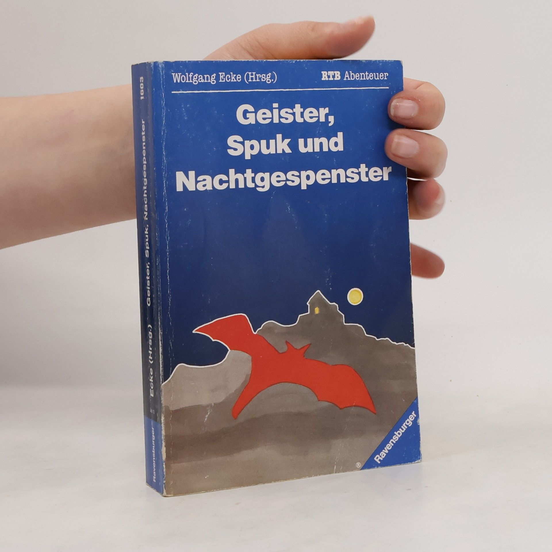 Autores varios Geister, Spuk und Nachtgespenster