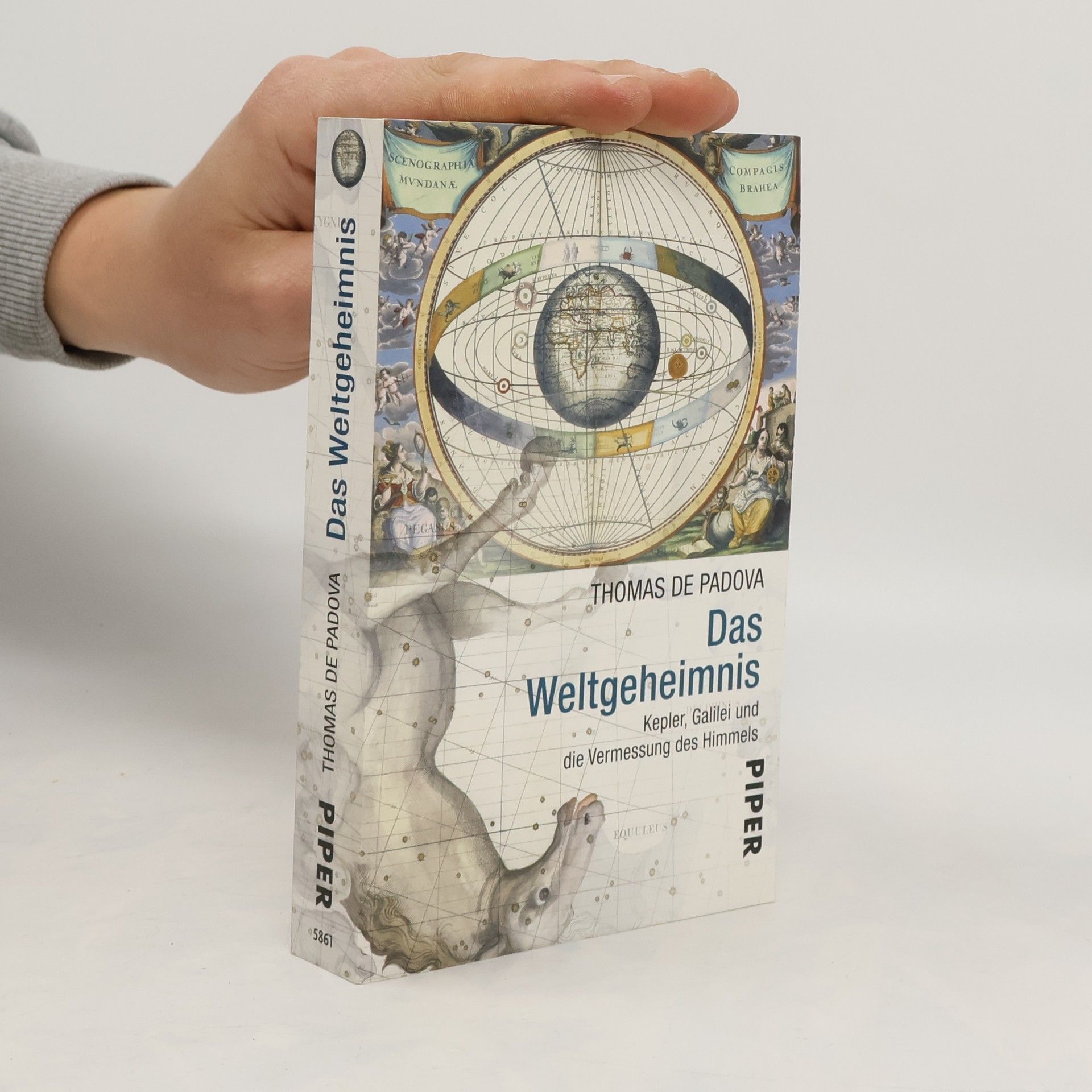 Thomas de Padova Das Weltgeheimnis