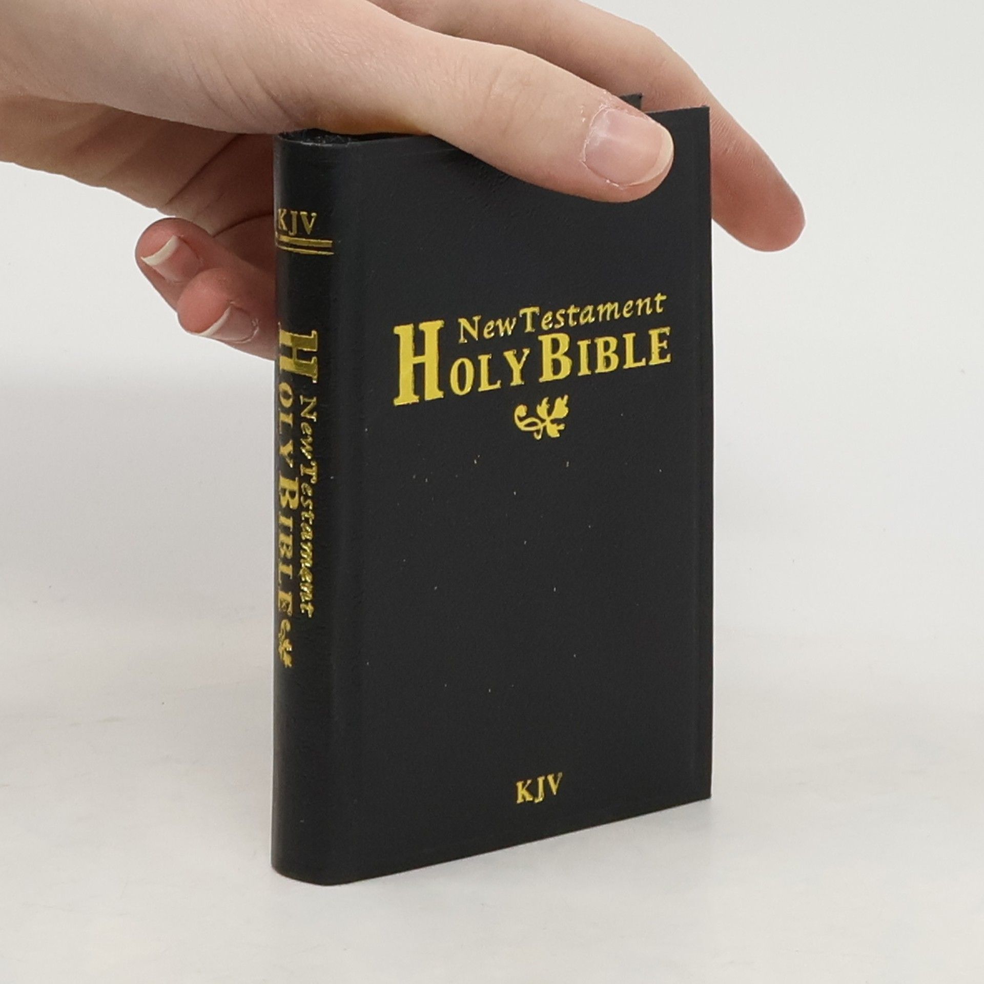 Collectif d'auteurs Holy Bible