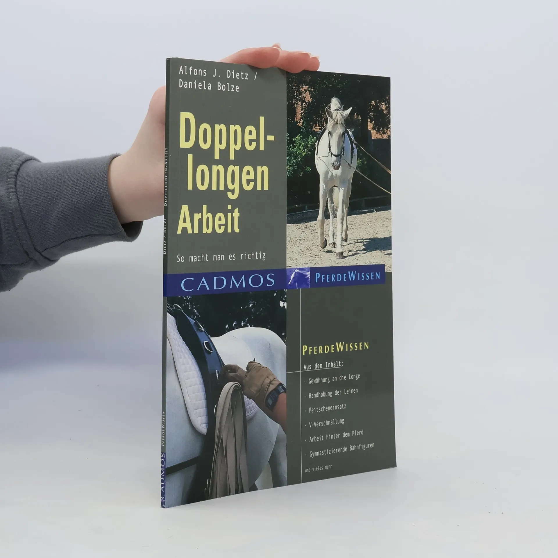 Doppellongen-Arbeit | Buch | Alfons J. Dietz