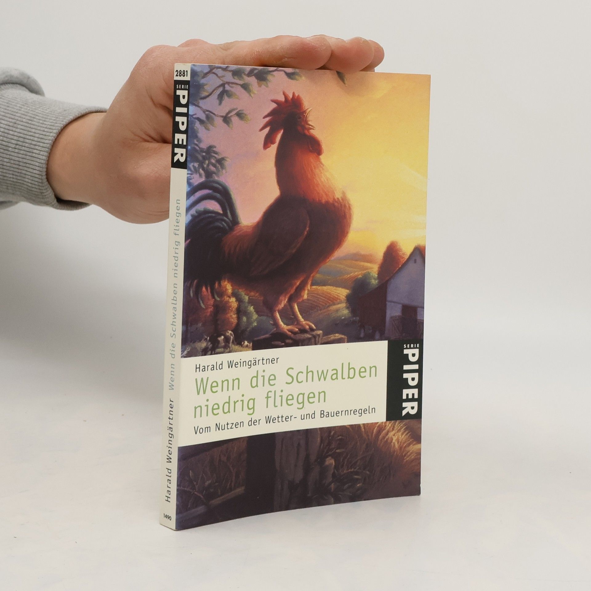 Harald Weingärtner Wenn die Schwalben niedrig fliegen
