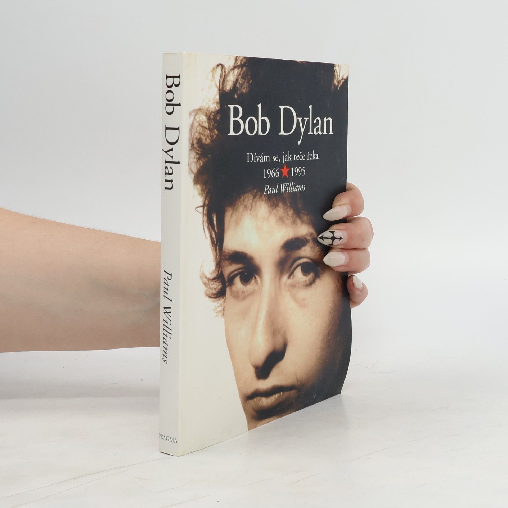 Paul Williams Bob Dylan - Dívám se, jak teče řeka 1966 - 1995