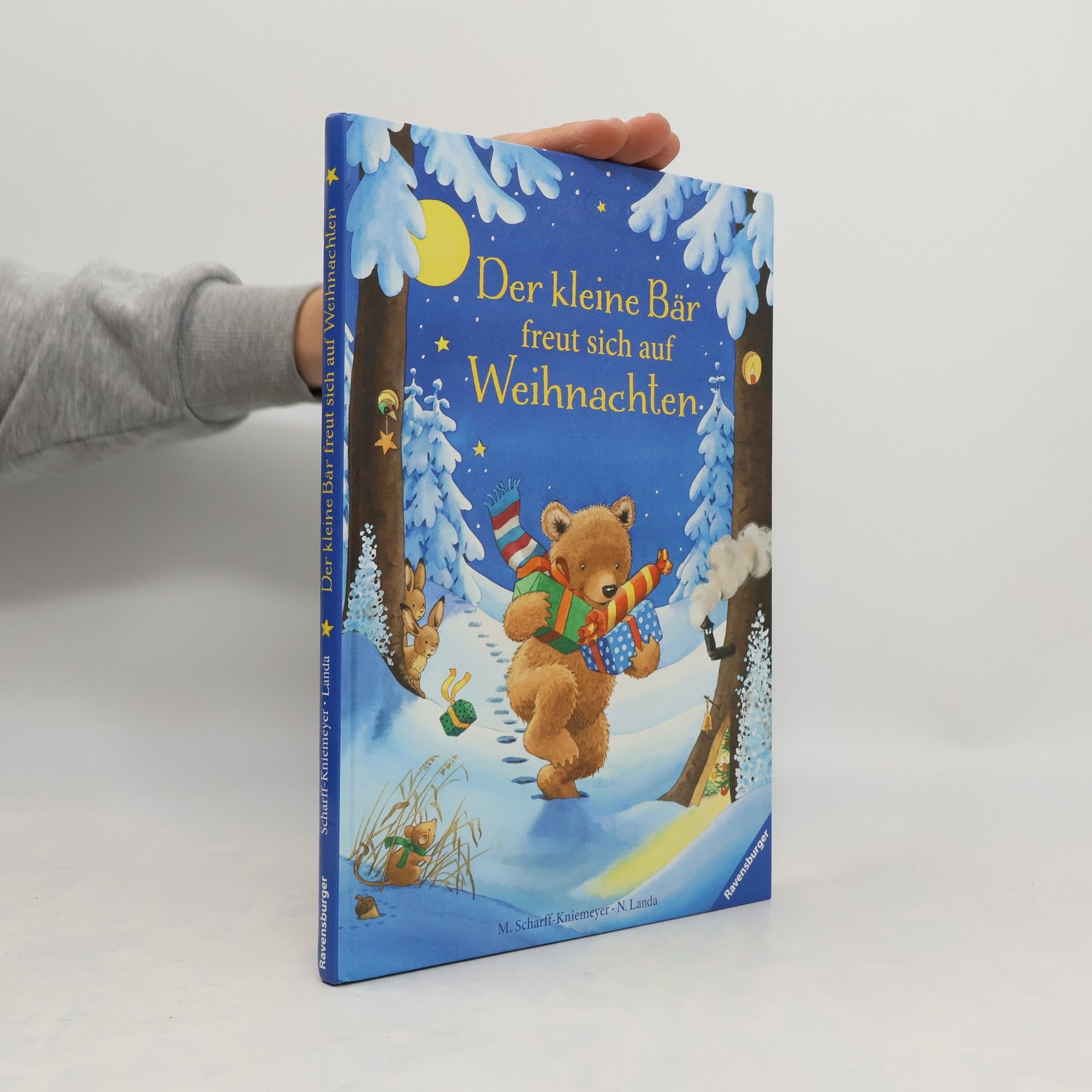 Norbert Landa Der kleine Bär freut sich auf Weihnachten