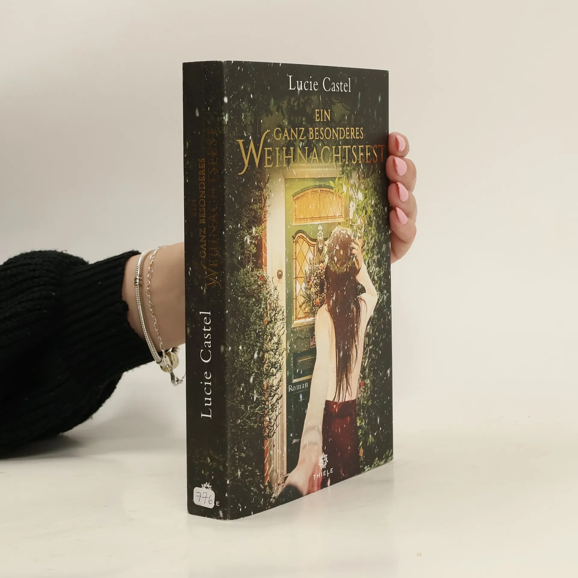 Ein ganz besonderes Weihnachtsfest | Book | Lucie Castel | DE