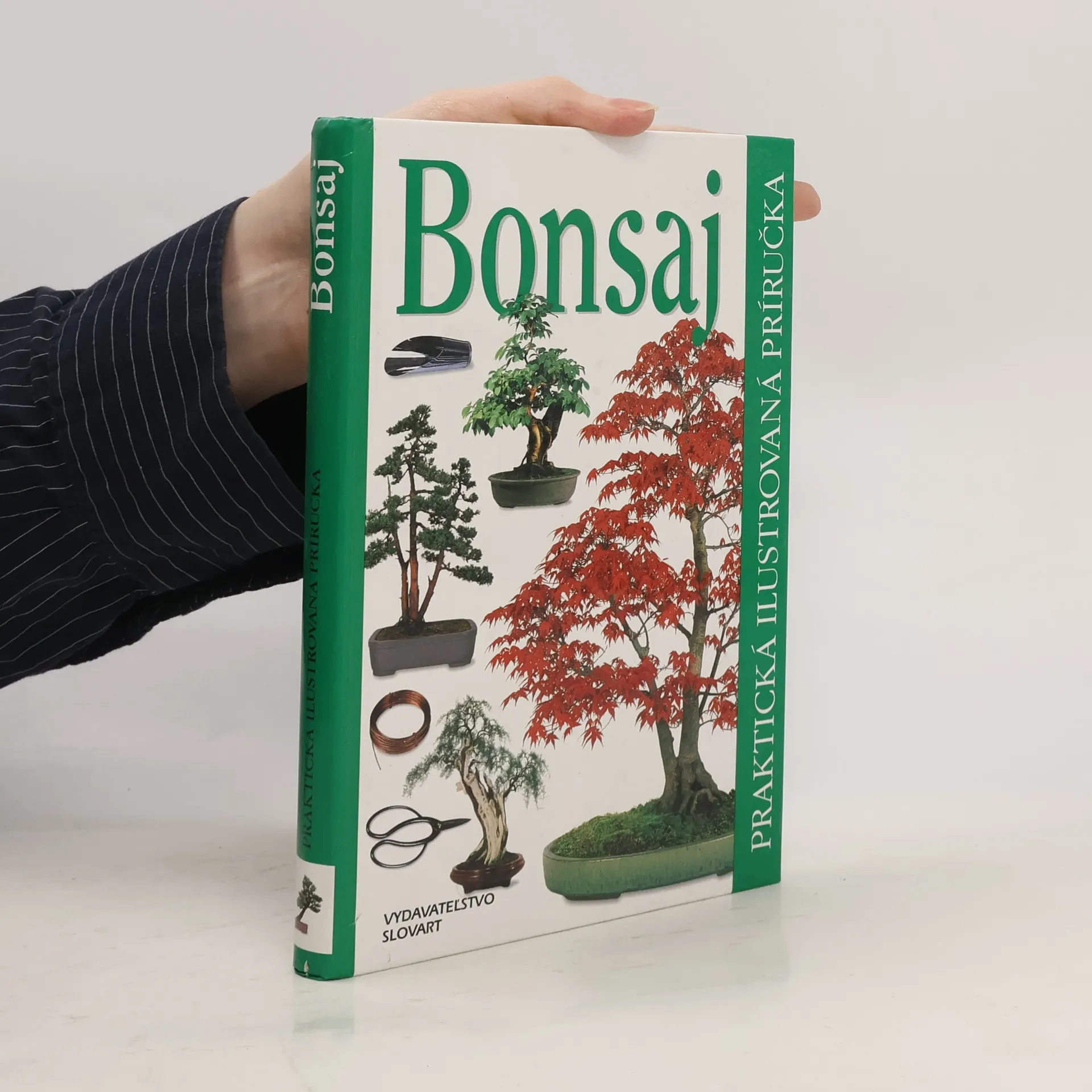 Bonsaj | Kniha | kolektiv