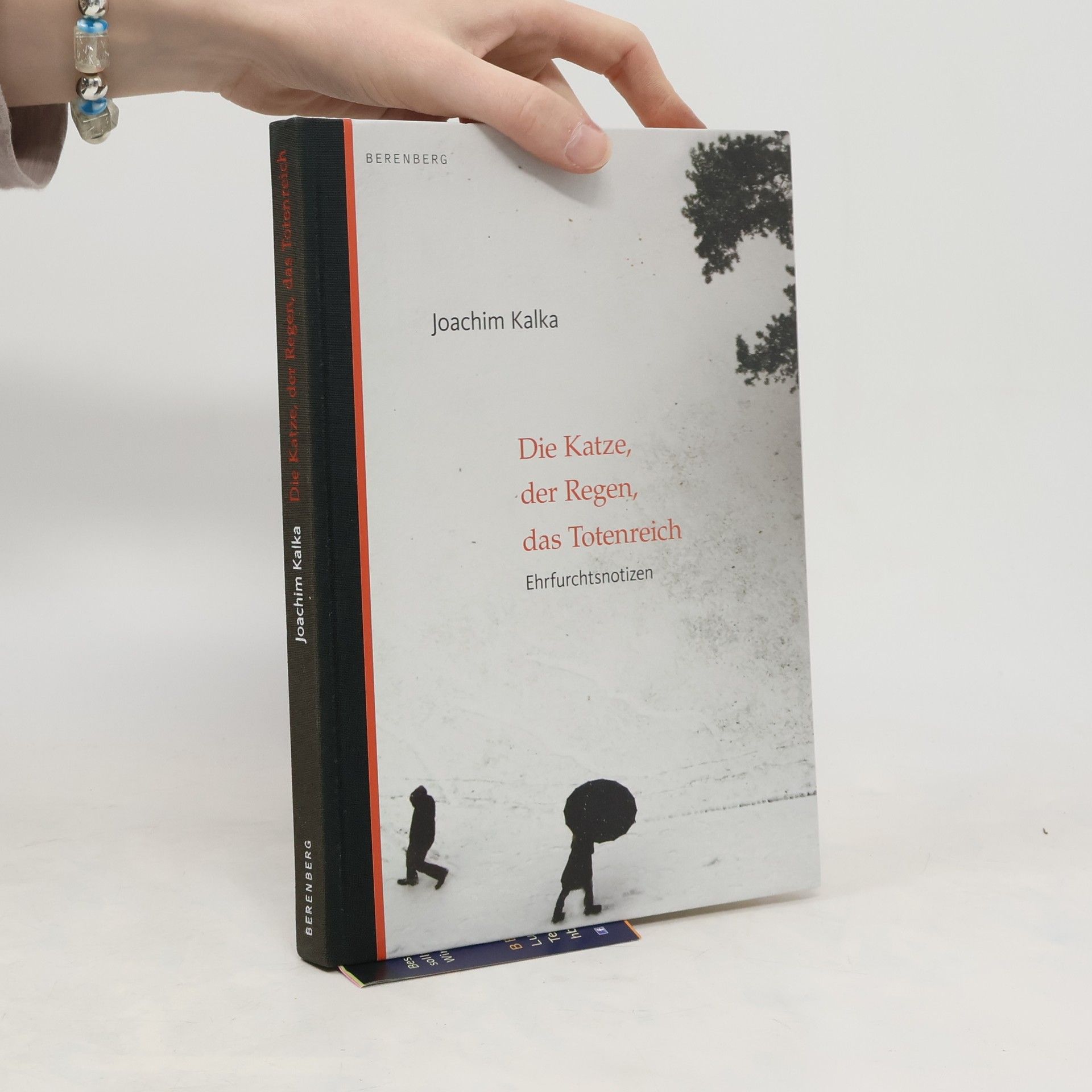 Joachim Kalka Die Katze, der Regen, das Totenreich