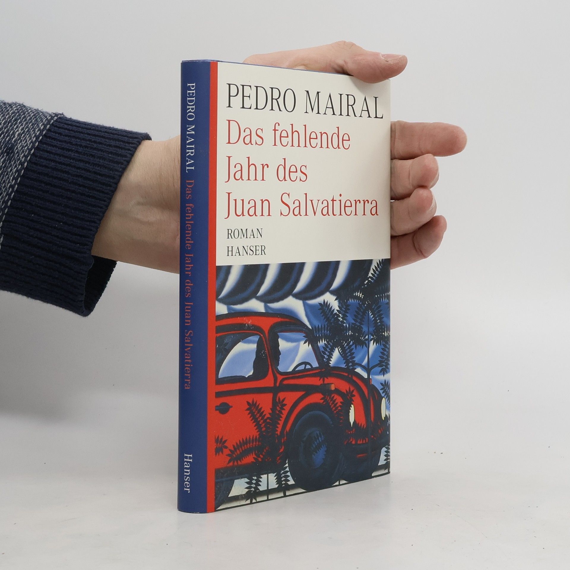 Pedro Mairal Das fehlende Jahr des Juan Salvatierra
