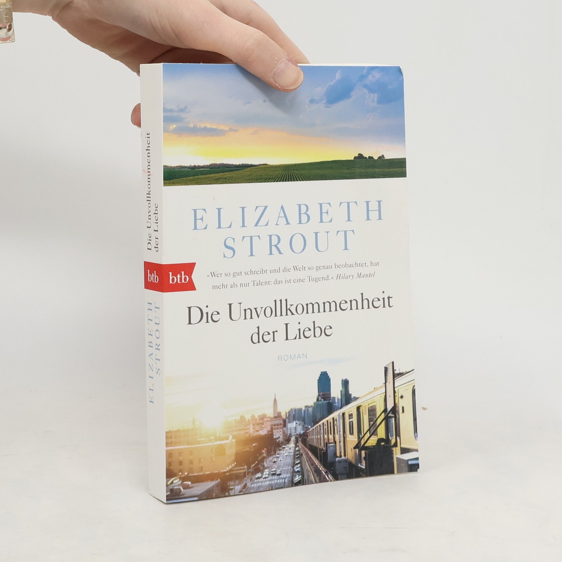 Elizabeth Strout Die Unvollkommenheit der Liebe