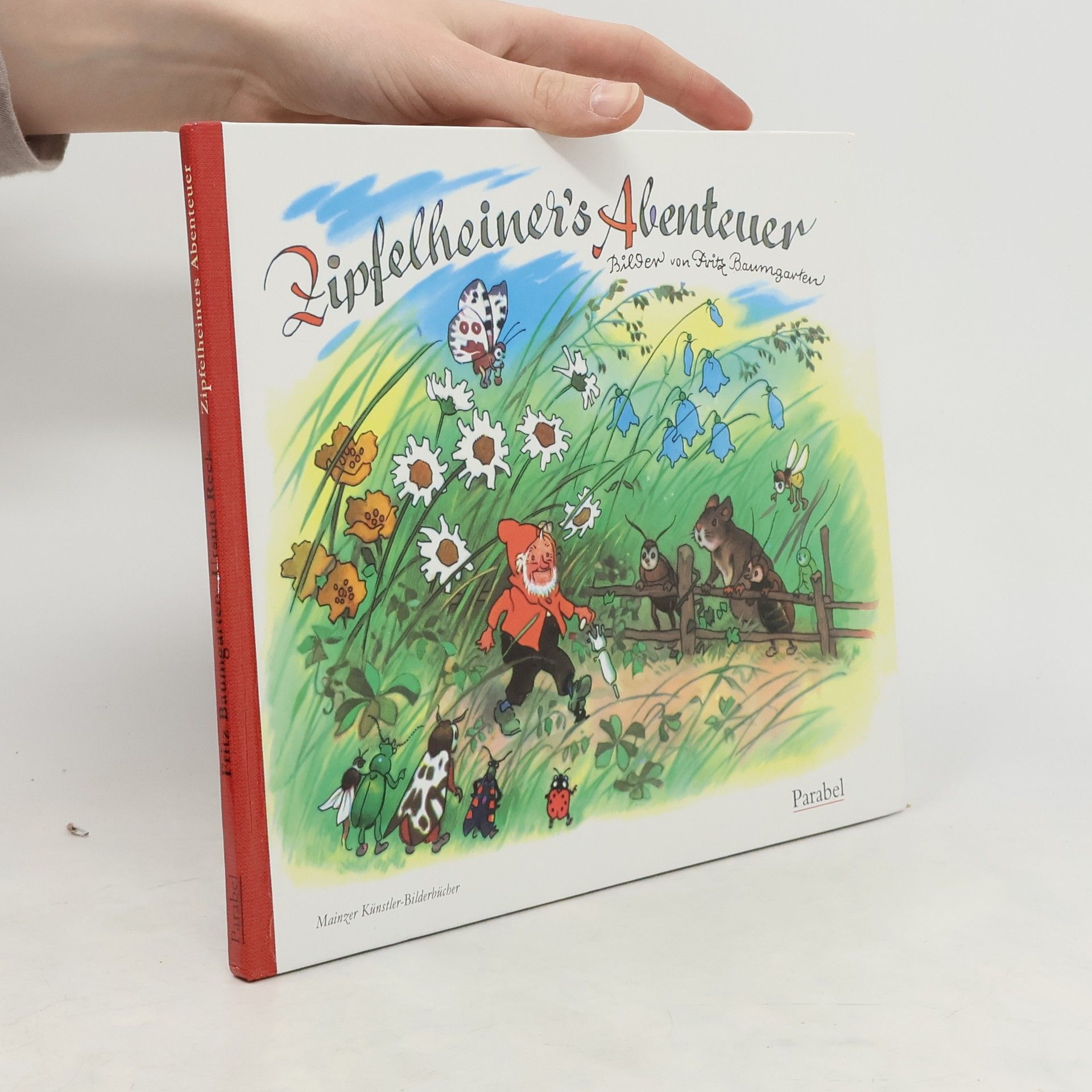 Ursula Reck Hog Zipfelheiner's Abenteuer
