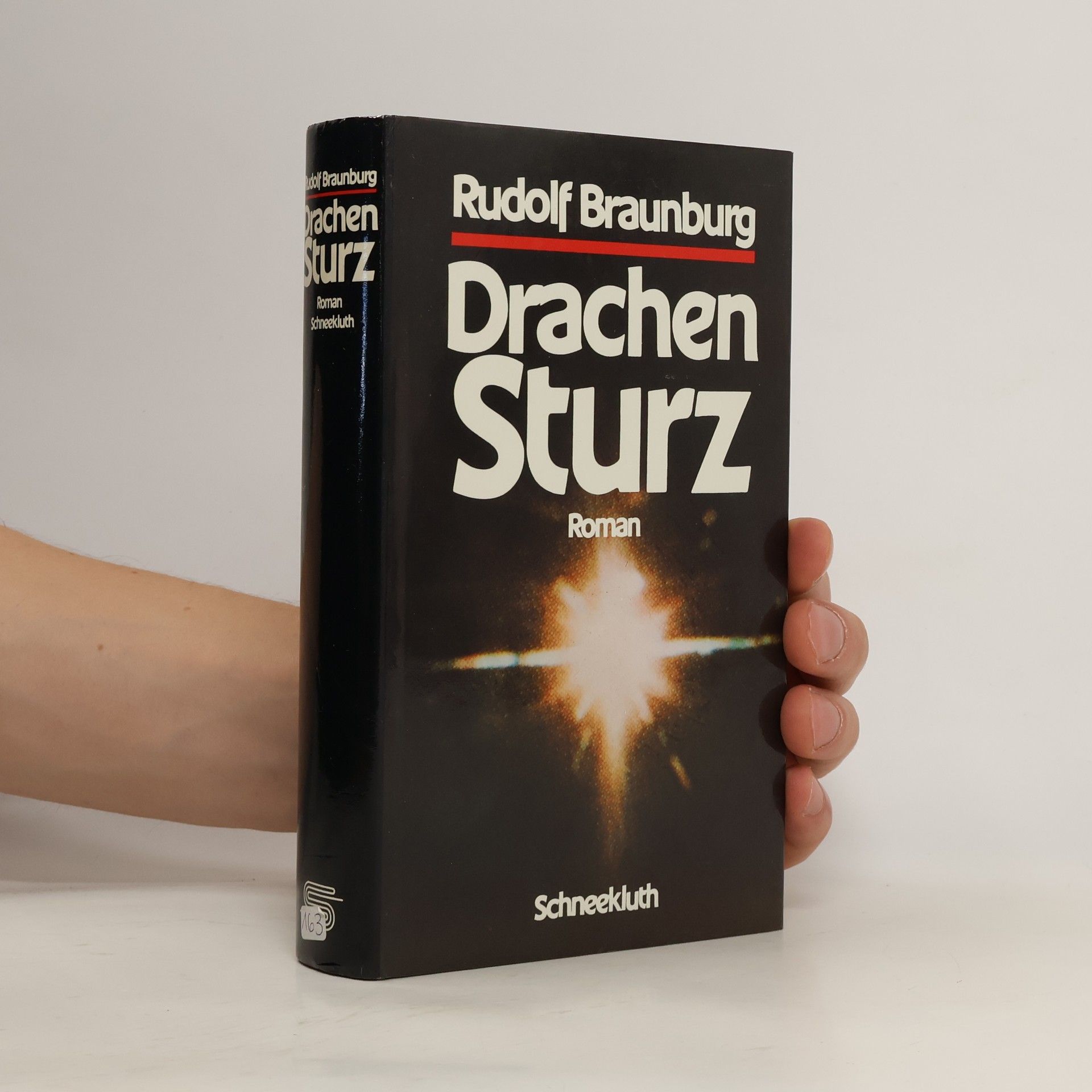 Rudolf Braunburg Drachensturz. Roman