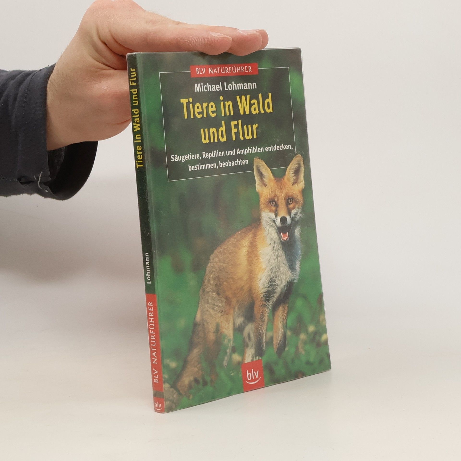 Michael Lohmann Tiere in Wald und Flur