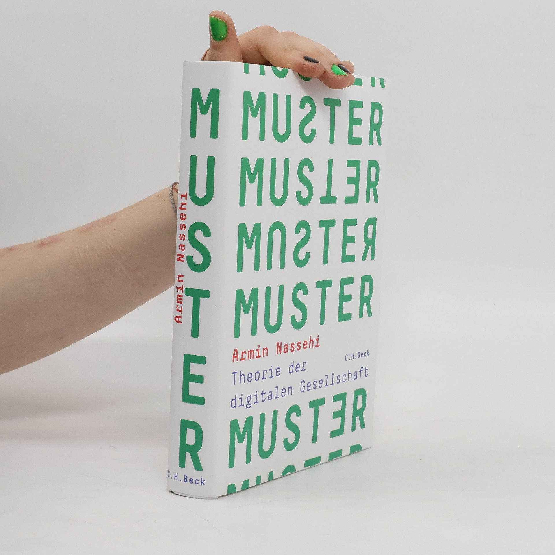 Armin Nassehi Muster