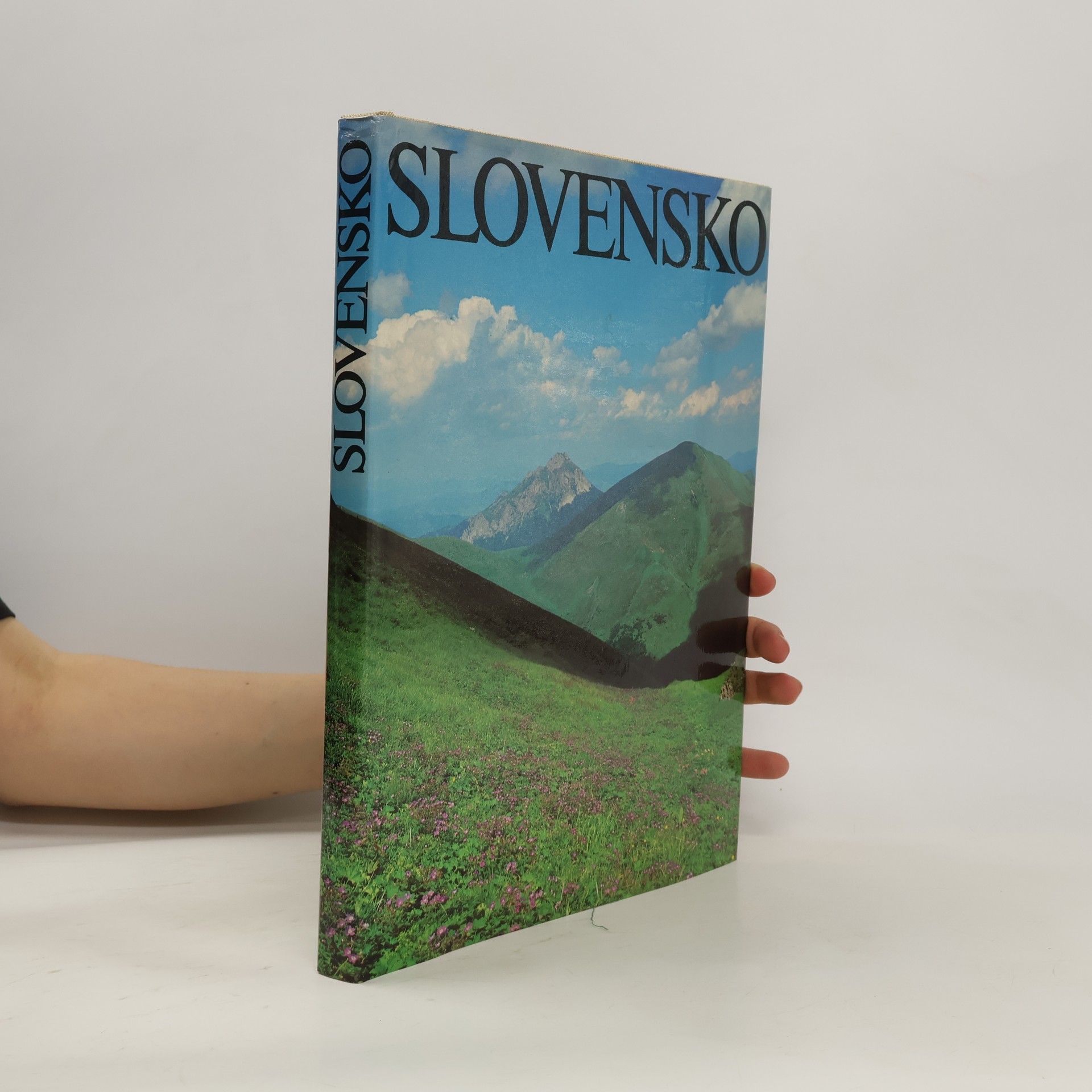 Milan Ferko Slovensko