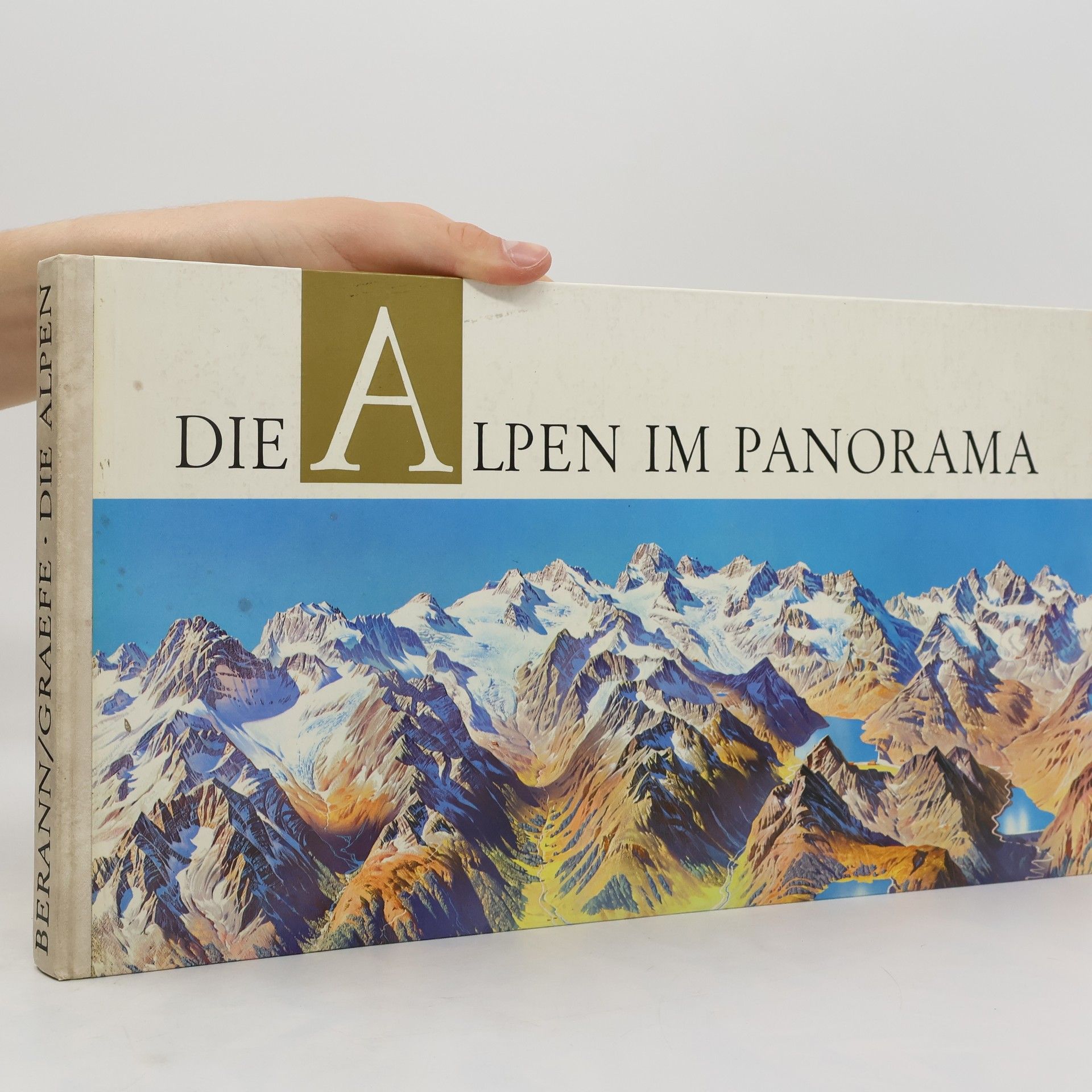 Autorenkollektiv Die Alpen im Panorama