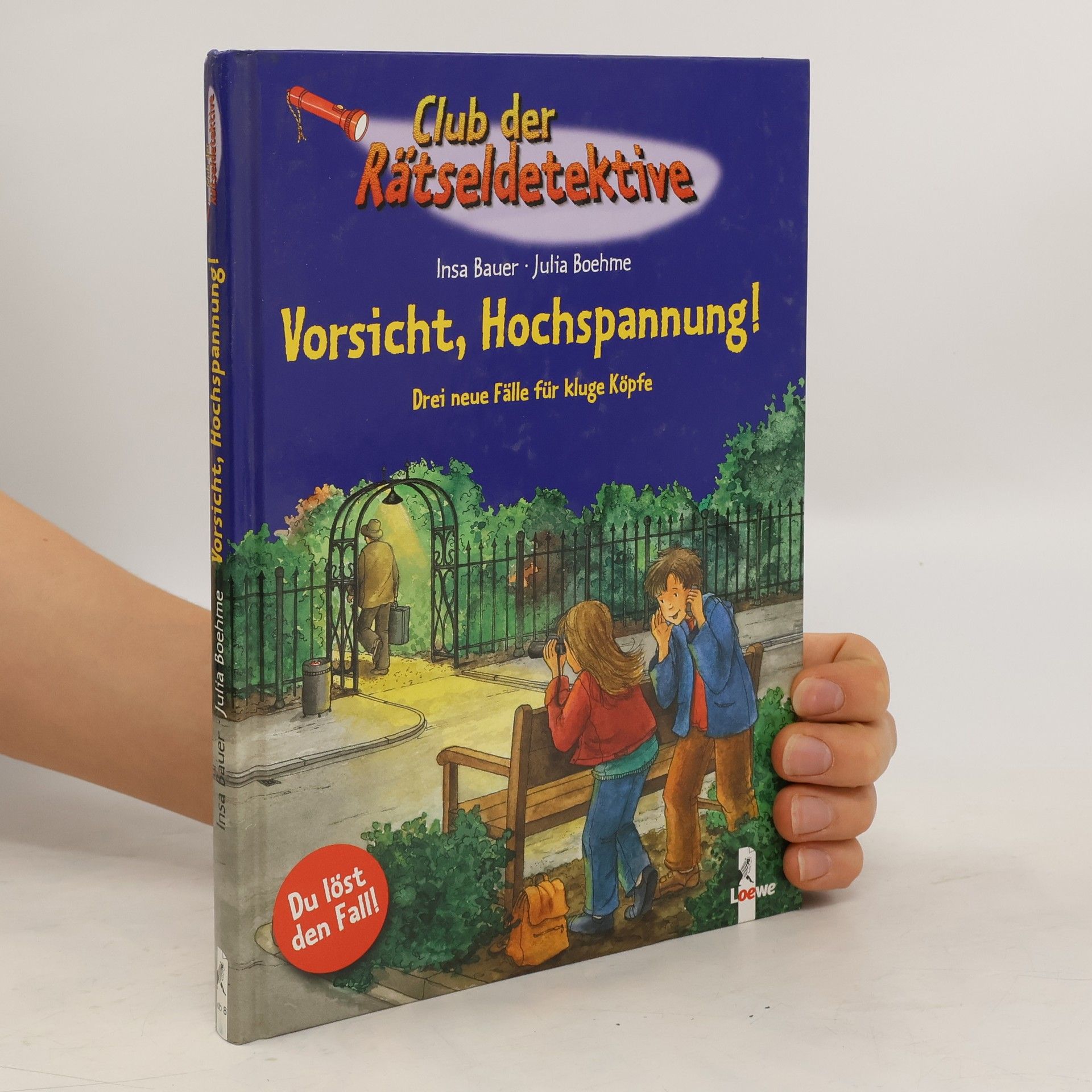 Insa Bauer Vorsicht, Hochspannung!