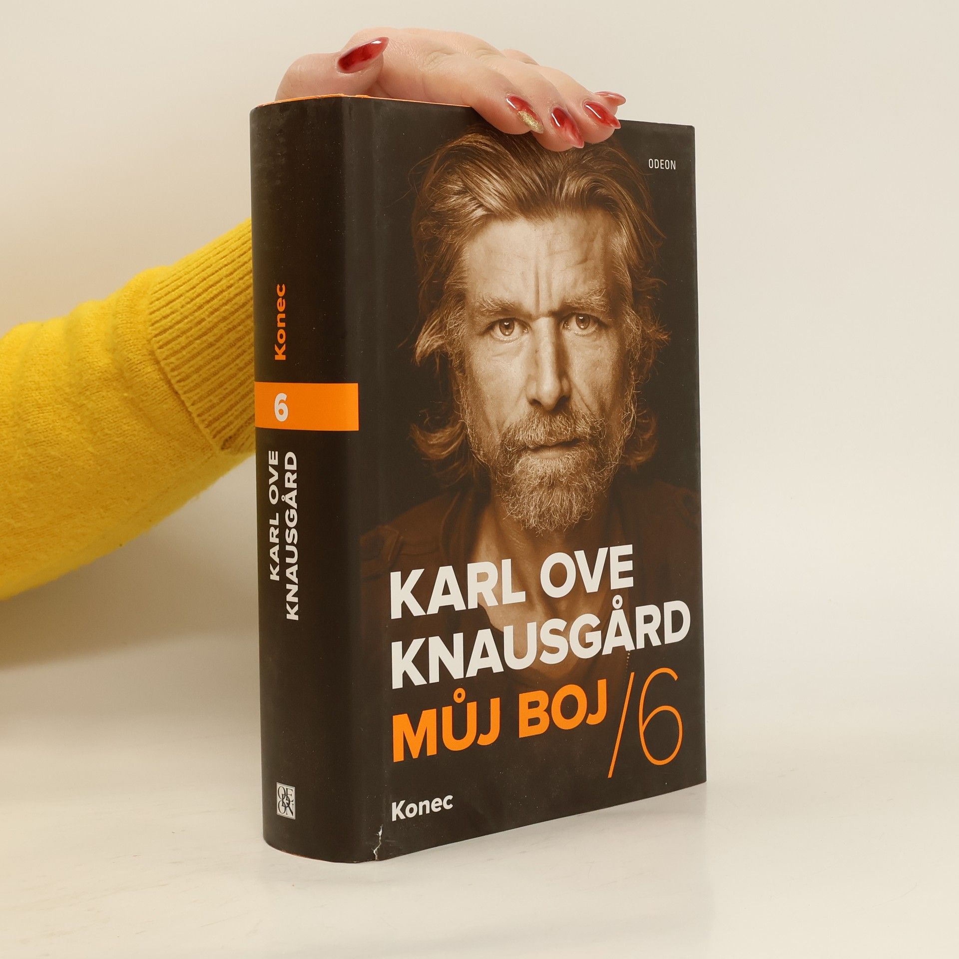 Karl Ove Knausgaard Můj boj. 6, Konec