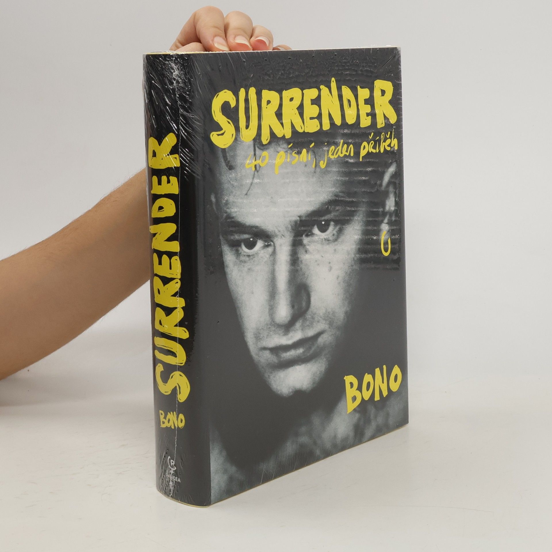Surrender : 40 písní, jeden příběh