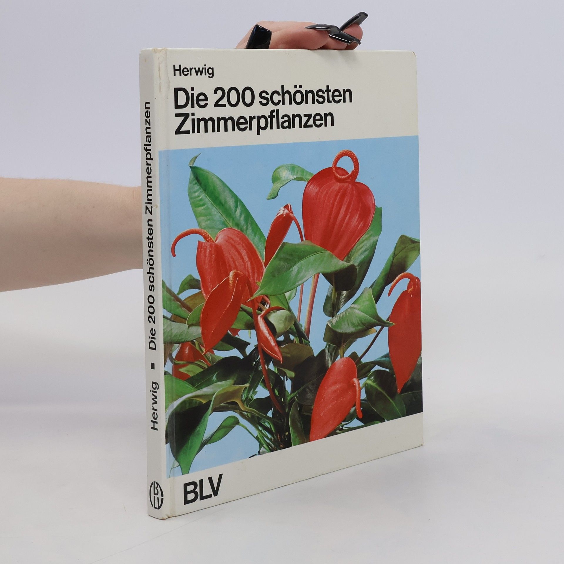 Rob Hewig Die 200 [zweihundert] schönsten Zimmerpflanzen