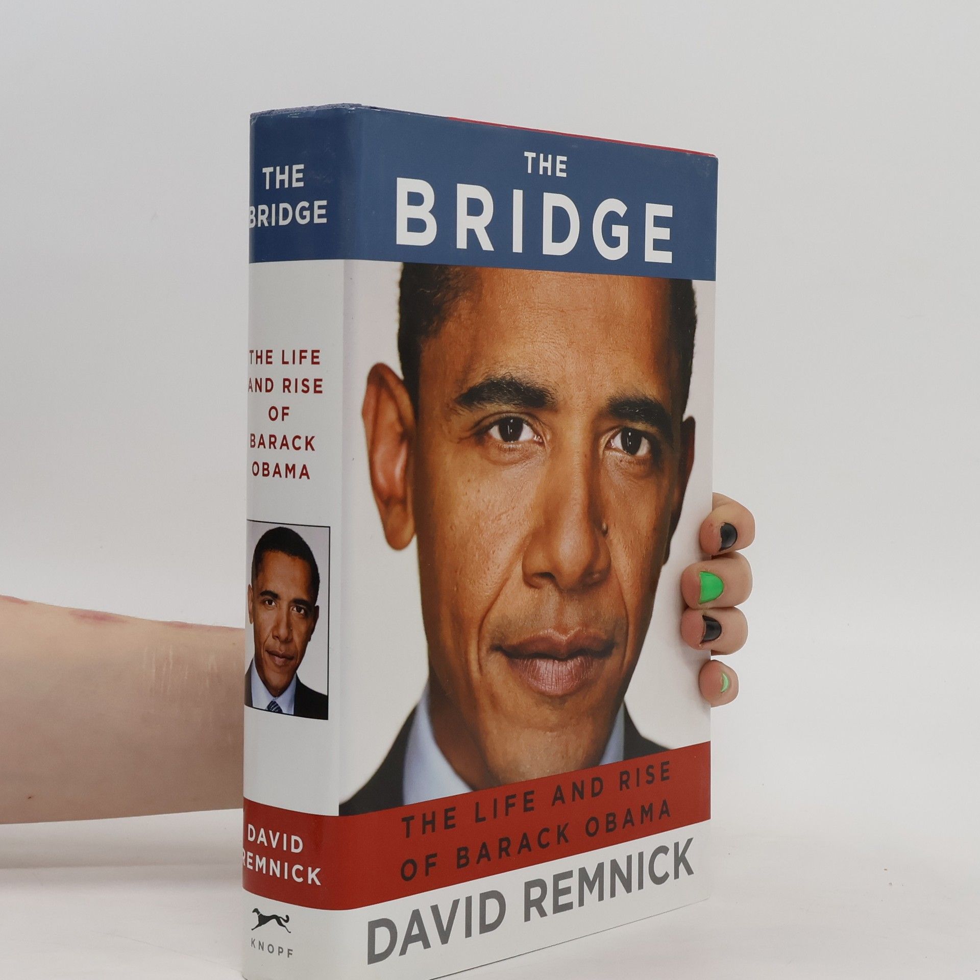 David Remnick The bridge : the life and rise of Barack Obama