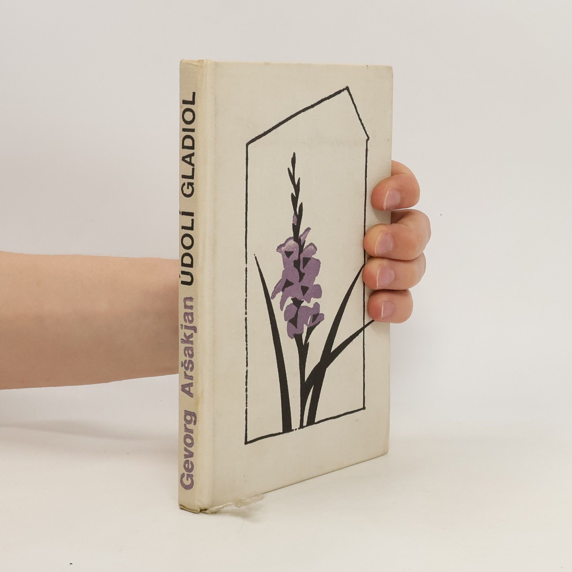 Gevorg Aršakjan Údolí gladiol