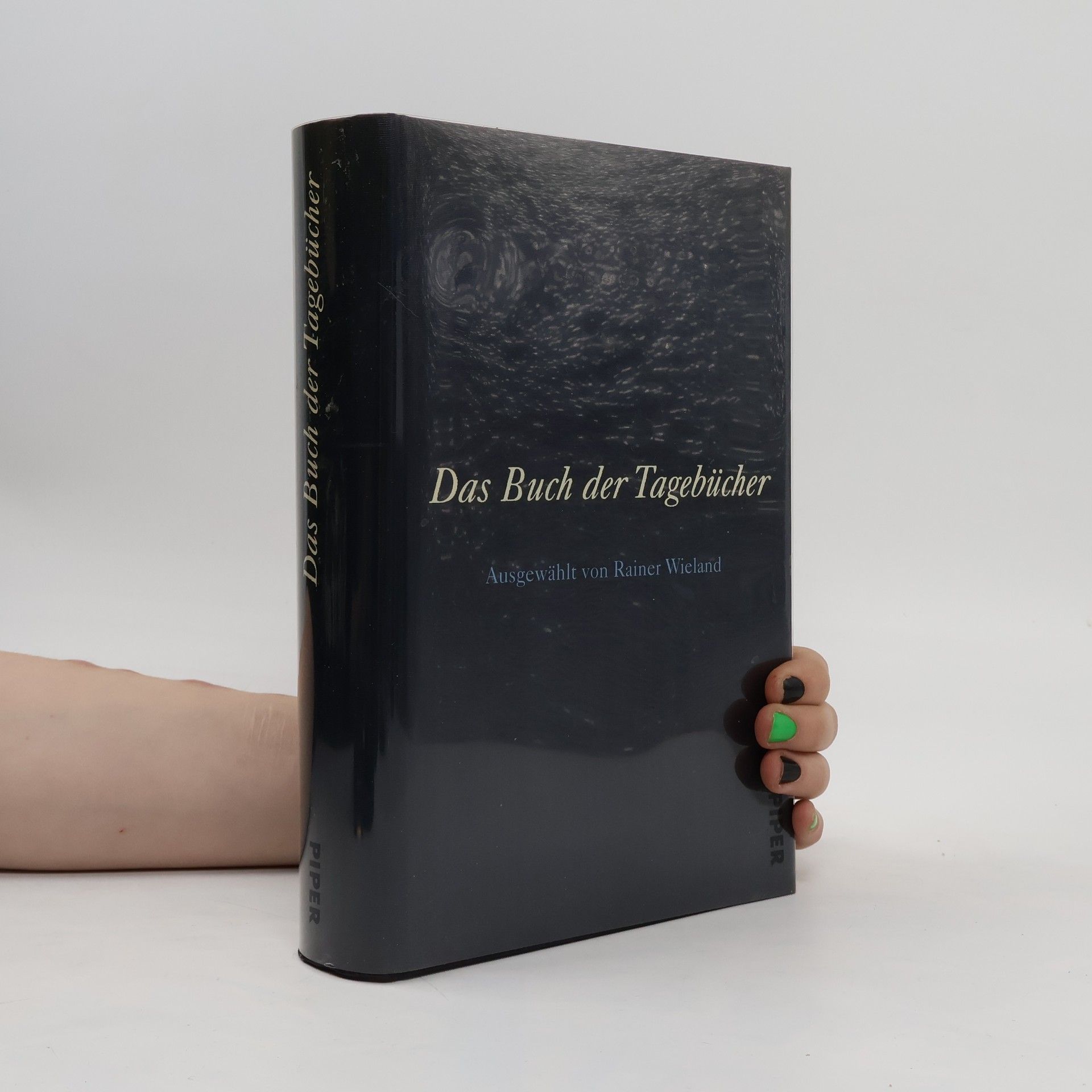 Rainer Wieland Das Buch der Tagebücher