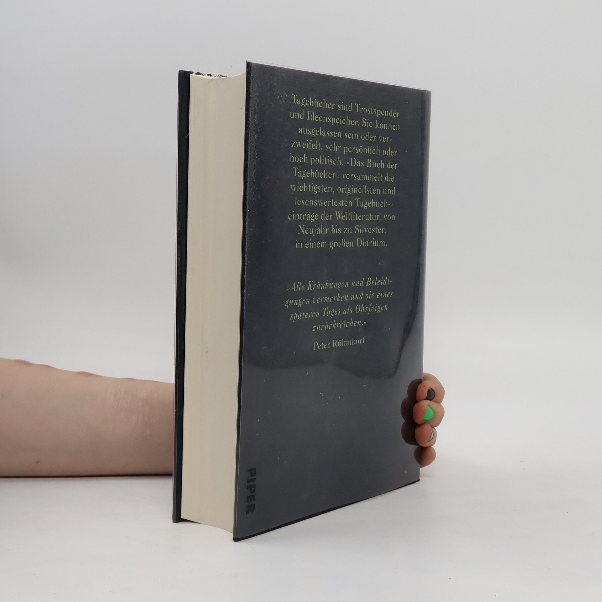 Rainer Wieland Das Buch der Tagebücher