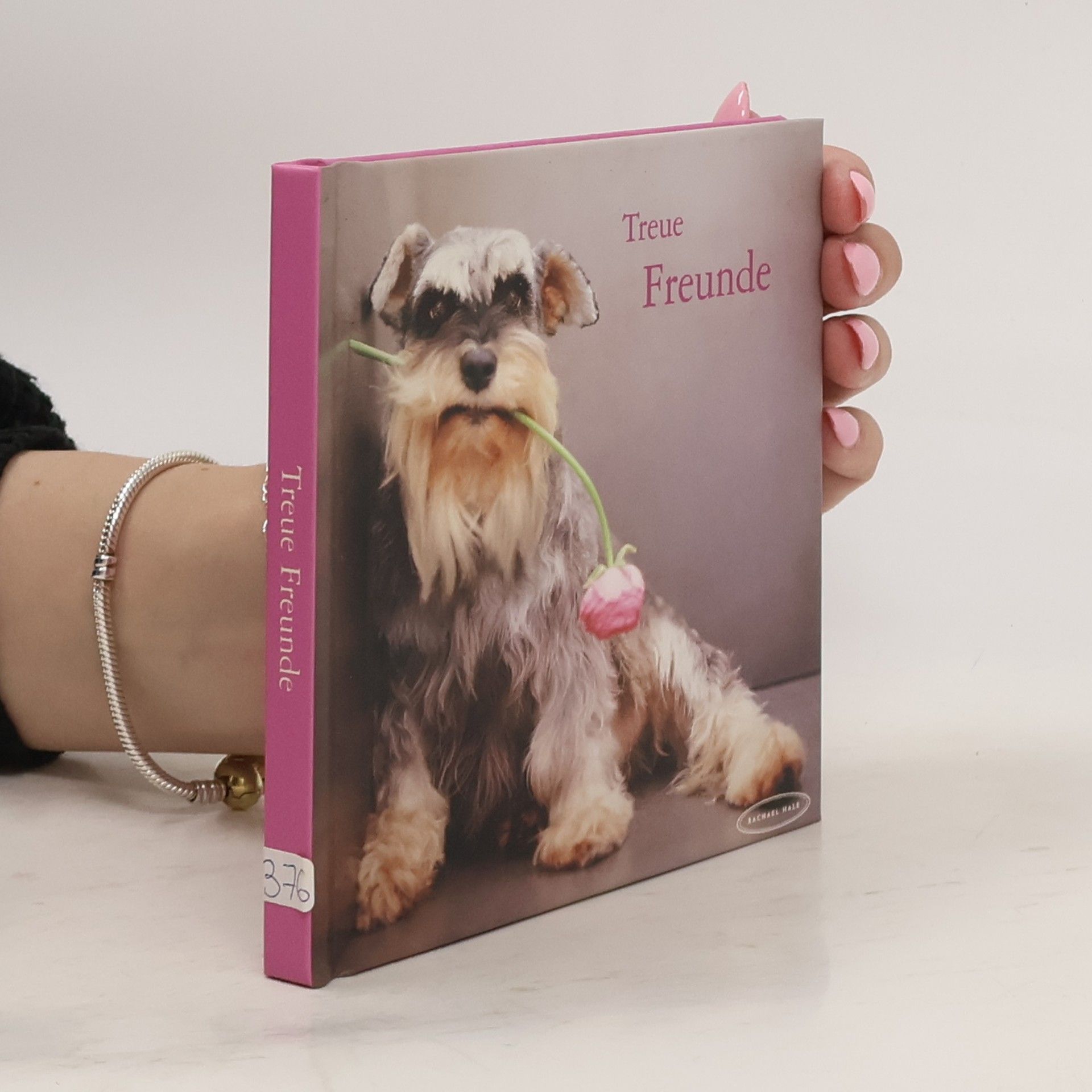 Rachael McKenna Treue Freunde