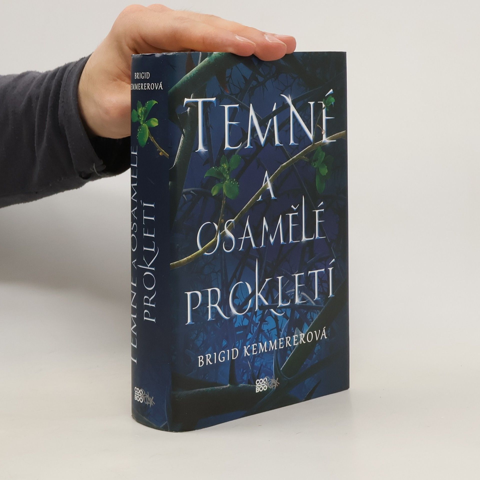 Brigid Kemmerer Temné a osamělé prokletí