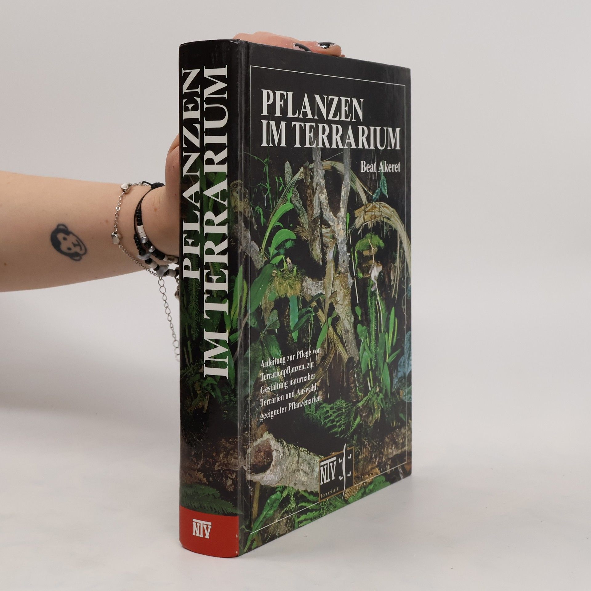 Beat Akeret Pflanzen im Terrarium