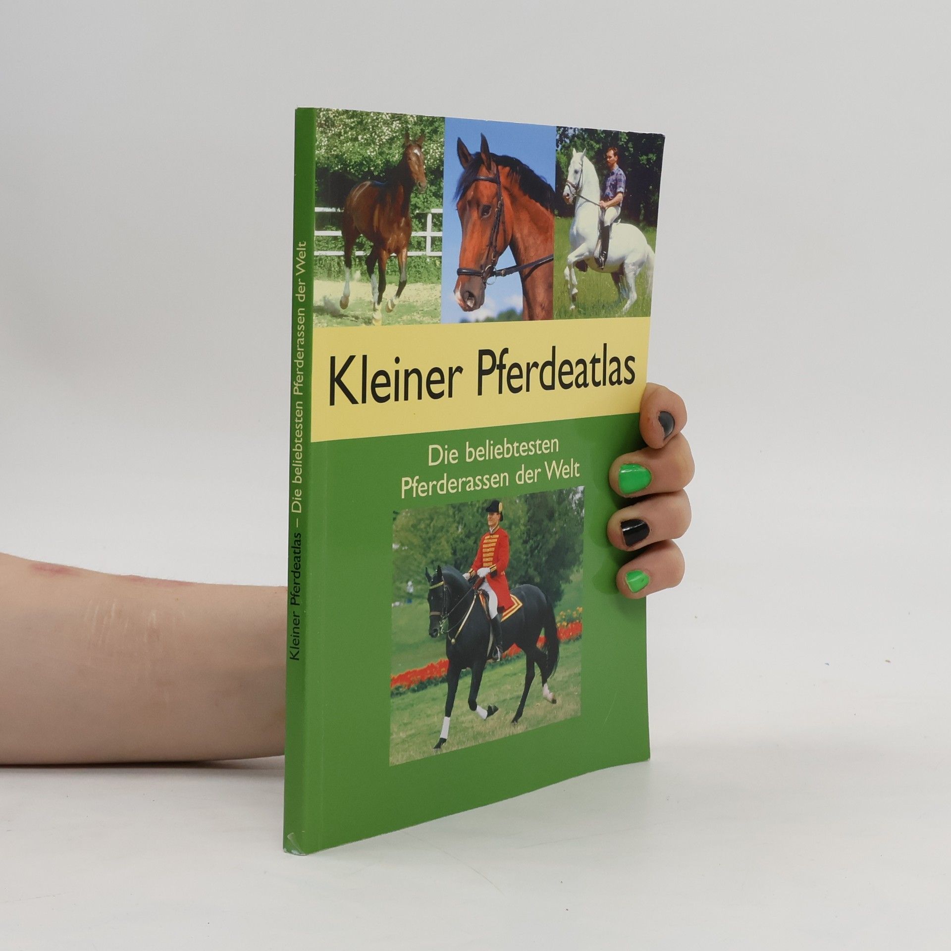 Sibylle Luise Binder Kleiner Pferdeatlas