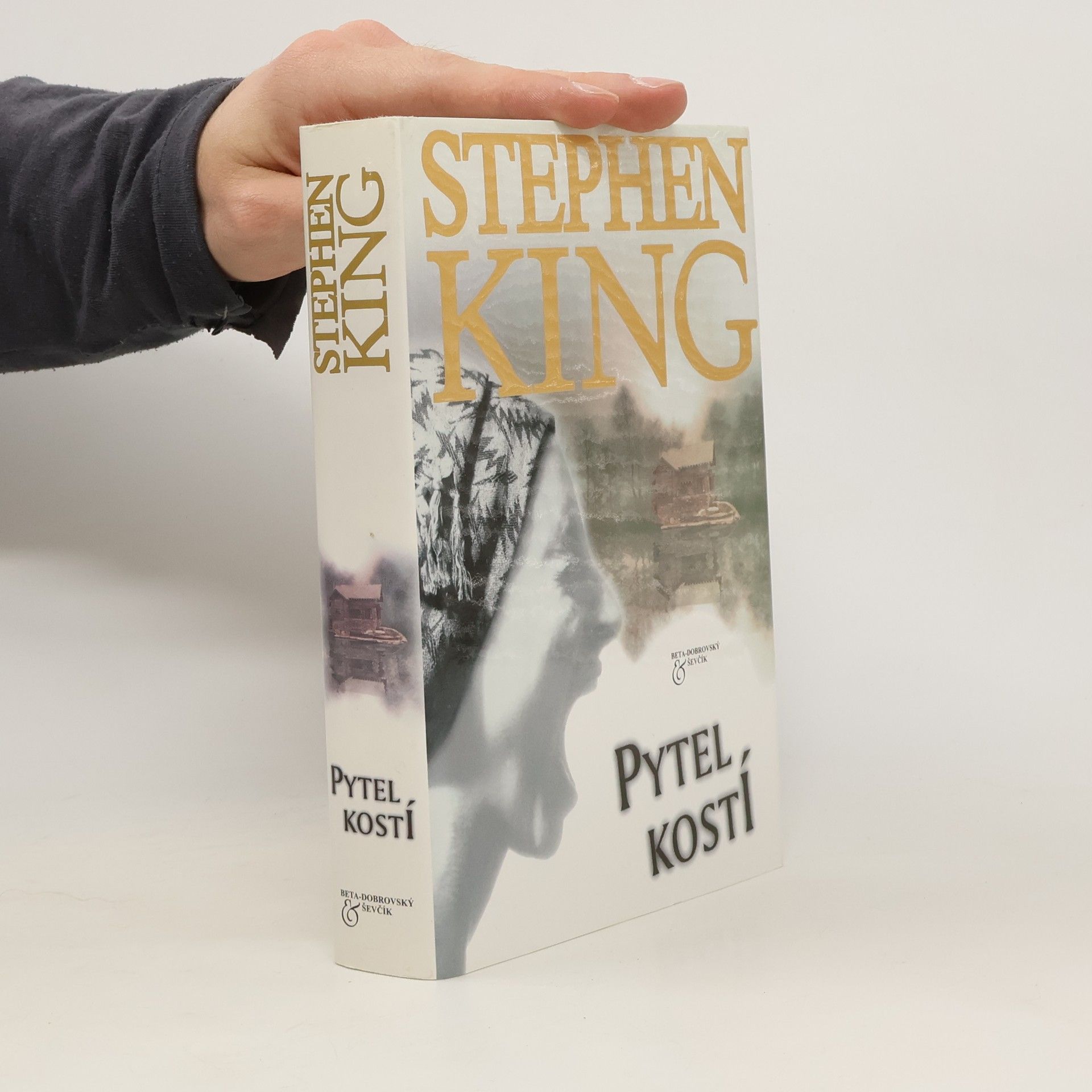 Stephen King Pytel kostí