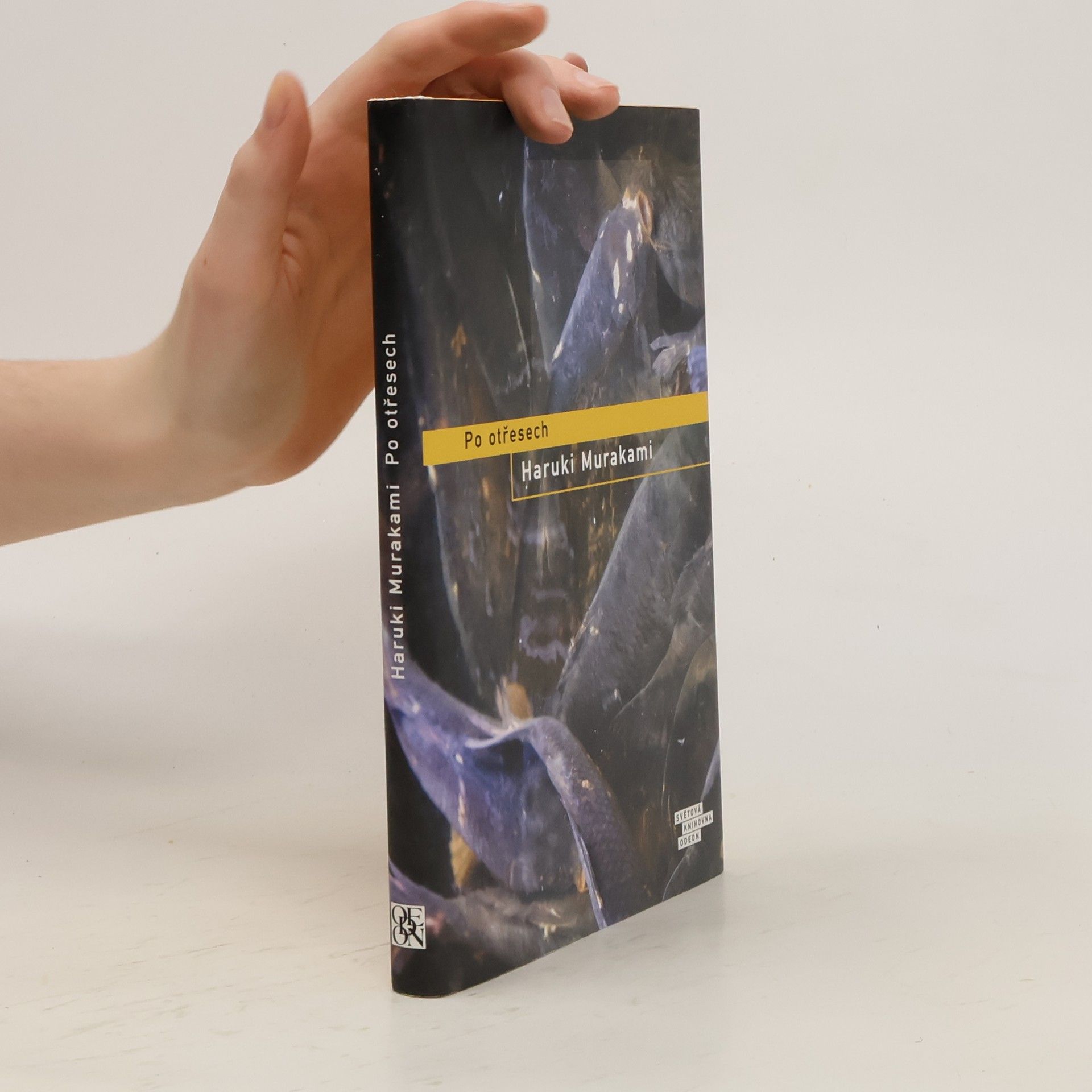 Haruki Murakami Po otřesech