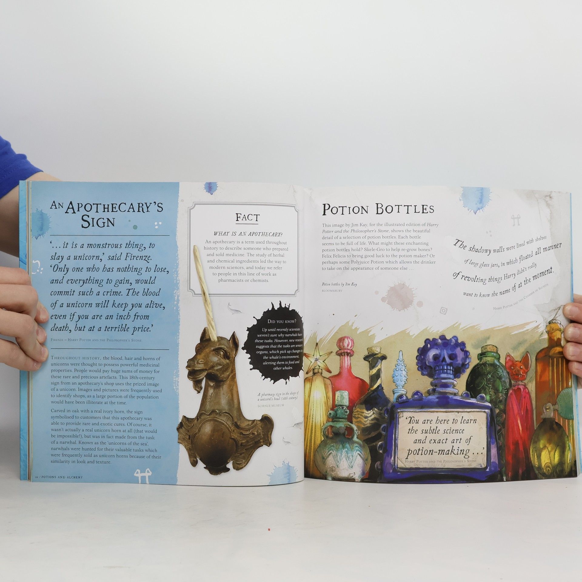 Collectif d'auteurs Harry Potter. A Journey Through a History of Magic