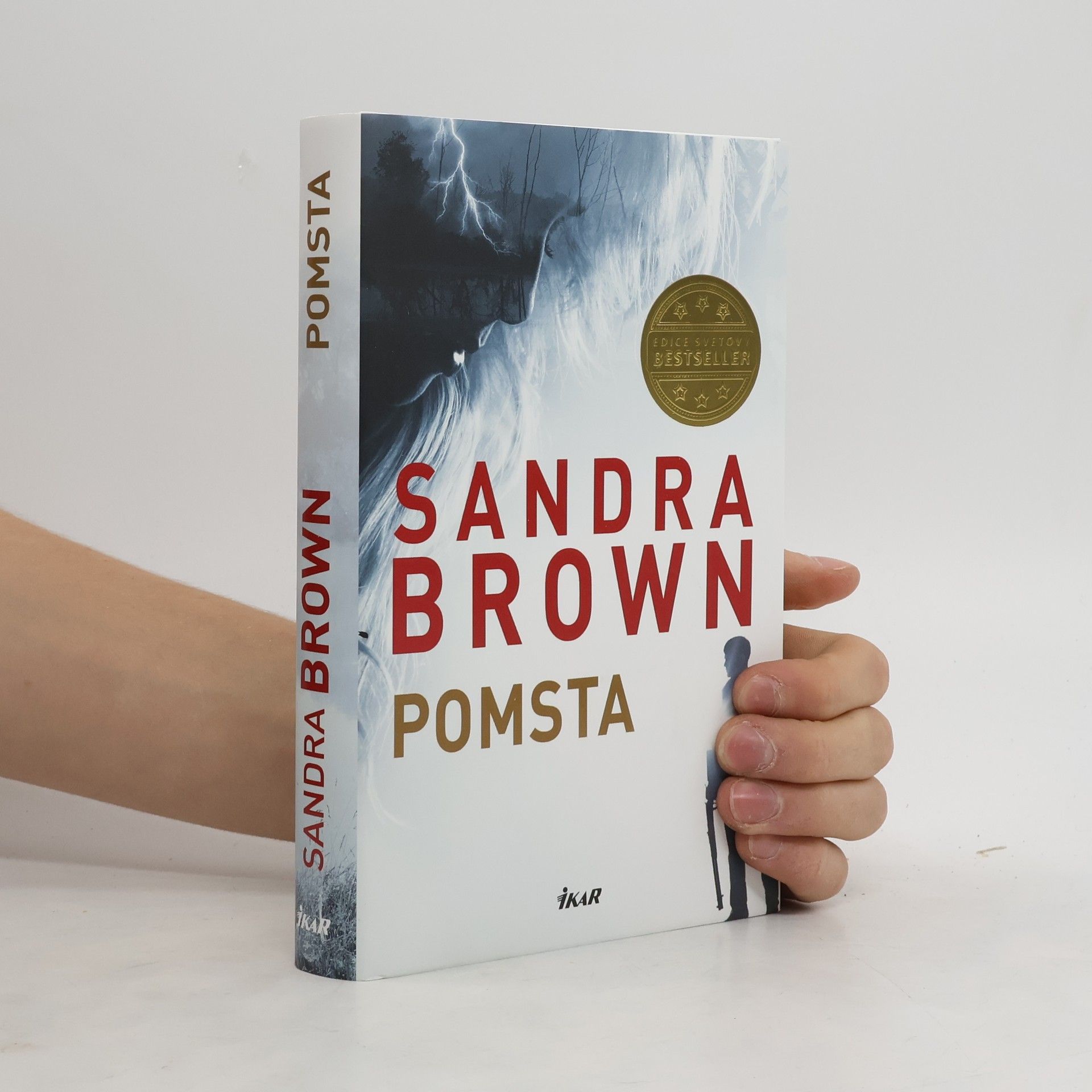 Sandra Brown Pomsta