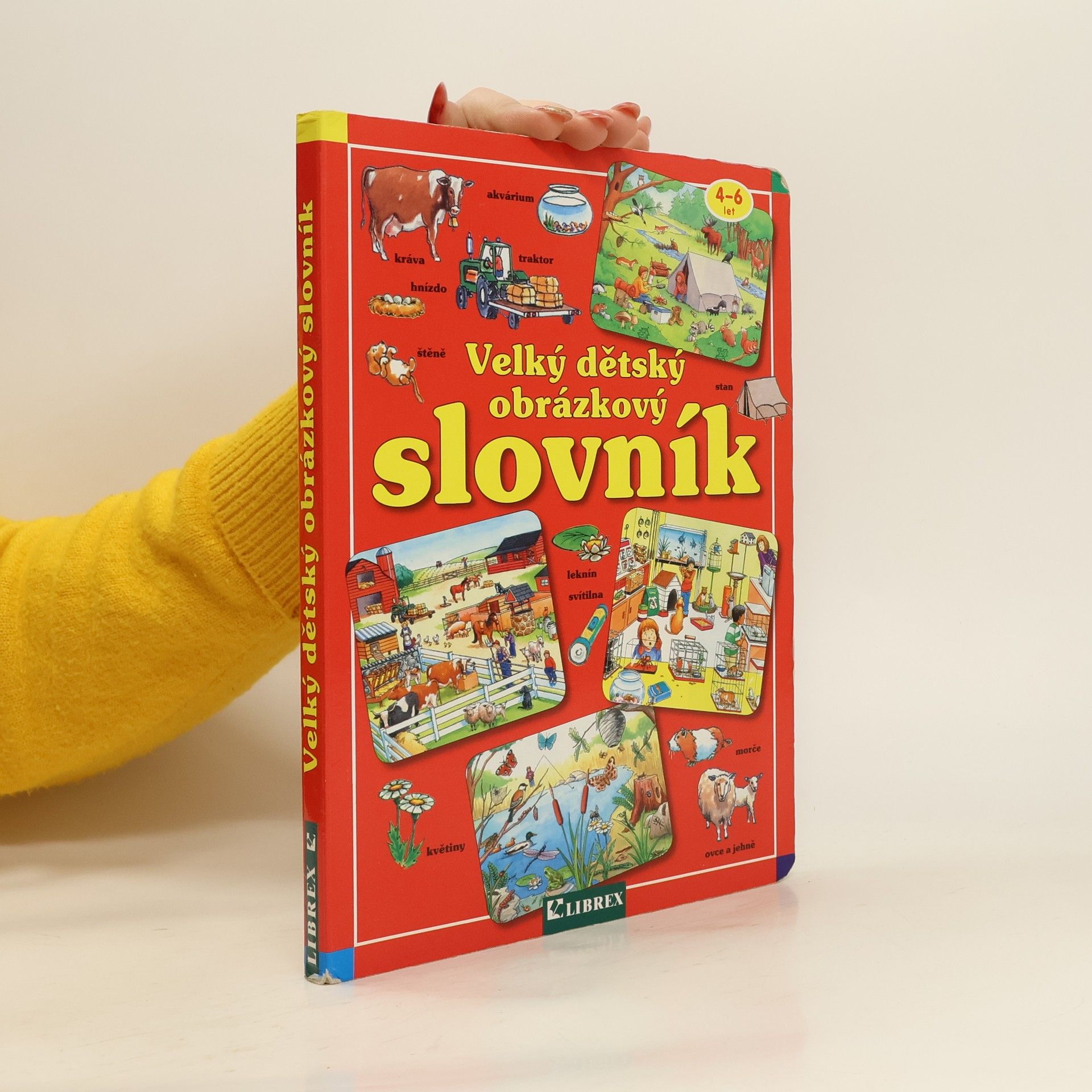 kolektiv Velký dětský obrázkový slovník