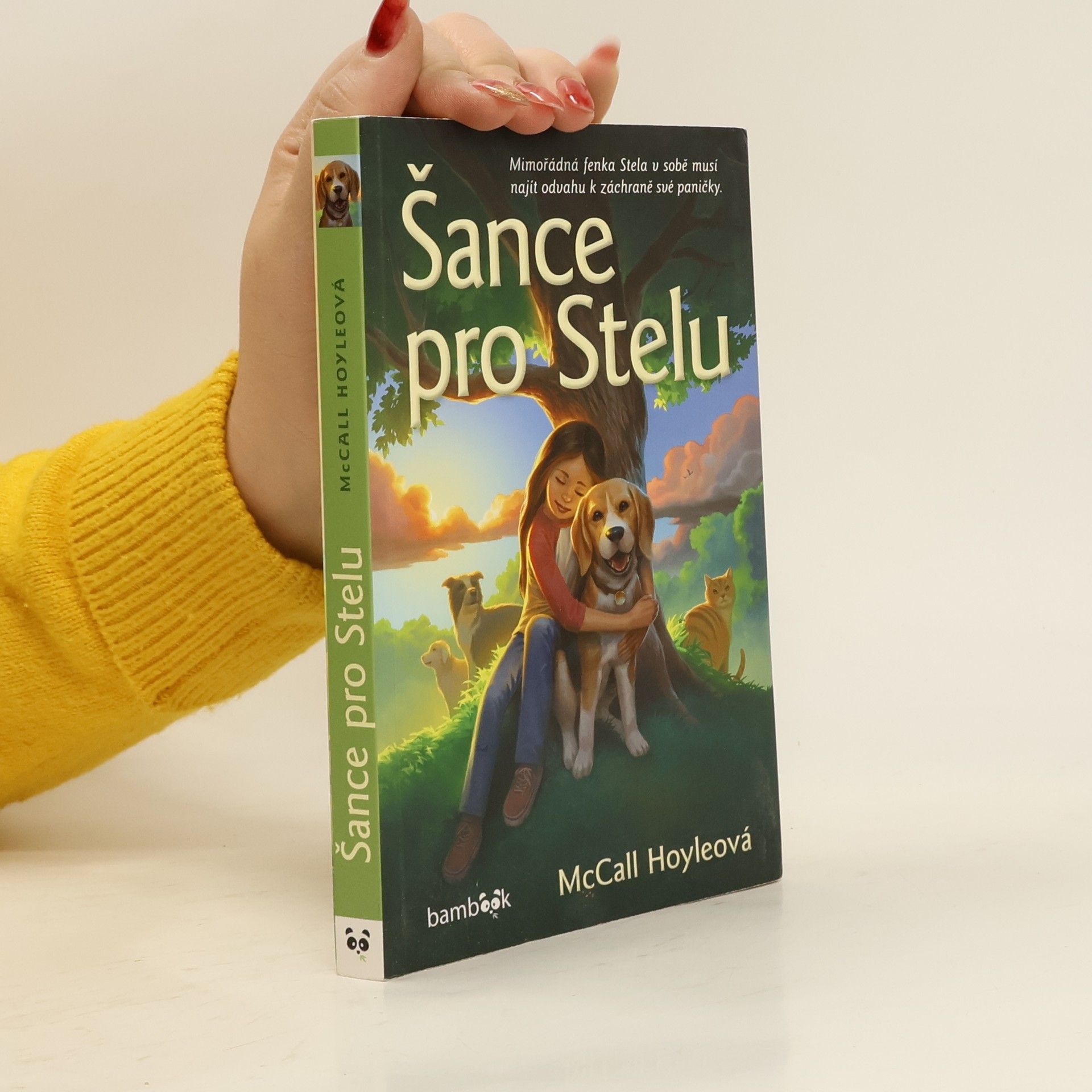 McCall Hoyle Šance pro Stelu