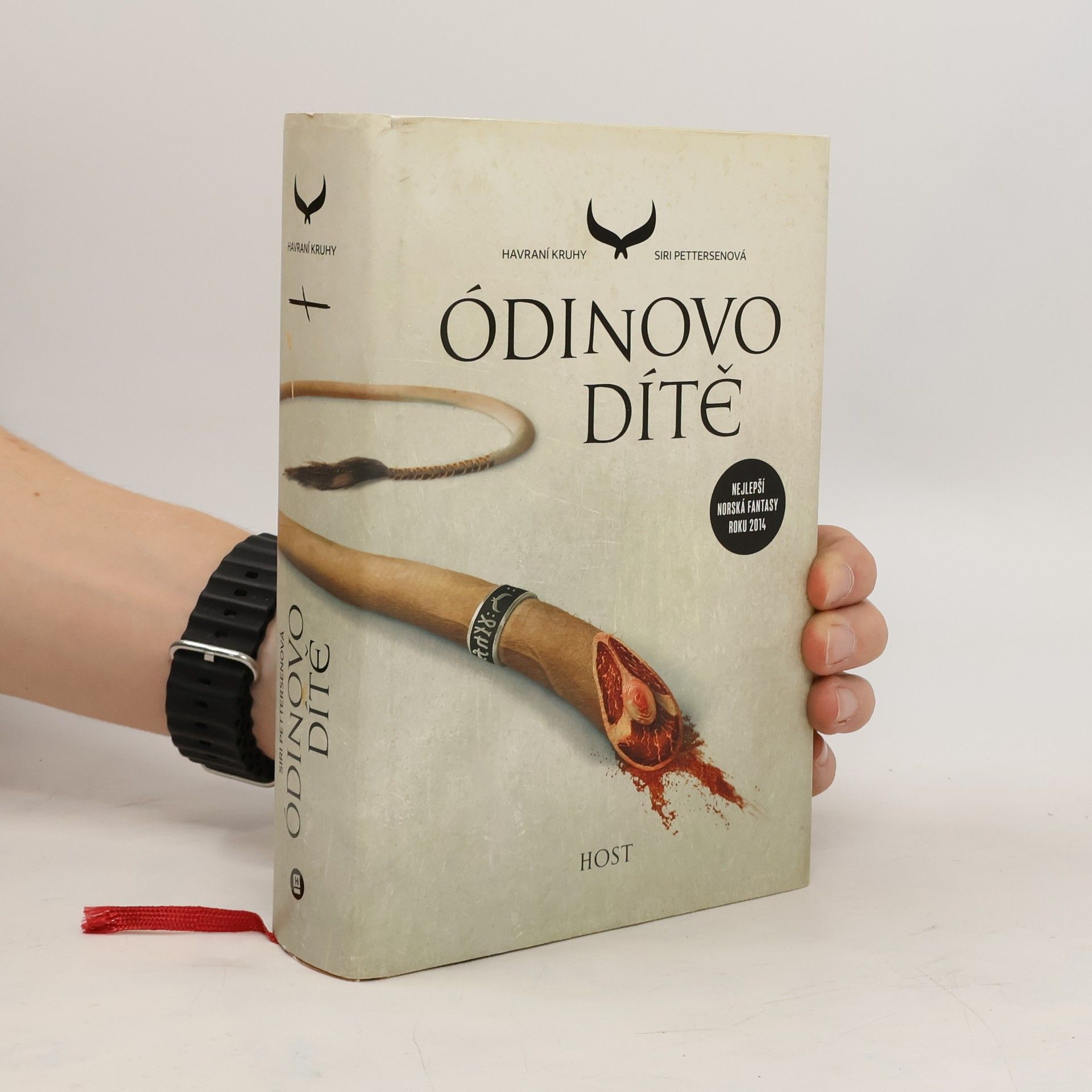 Siri Pettersen Havraní kruhy. Ódinovo dítě