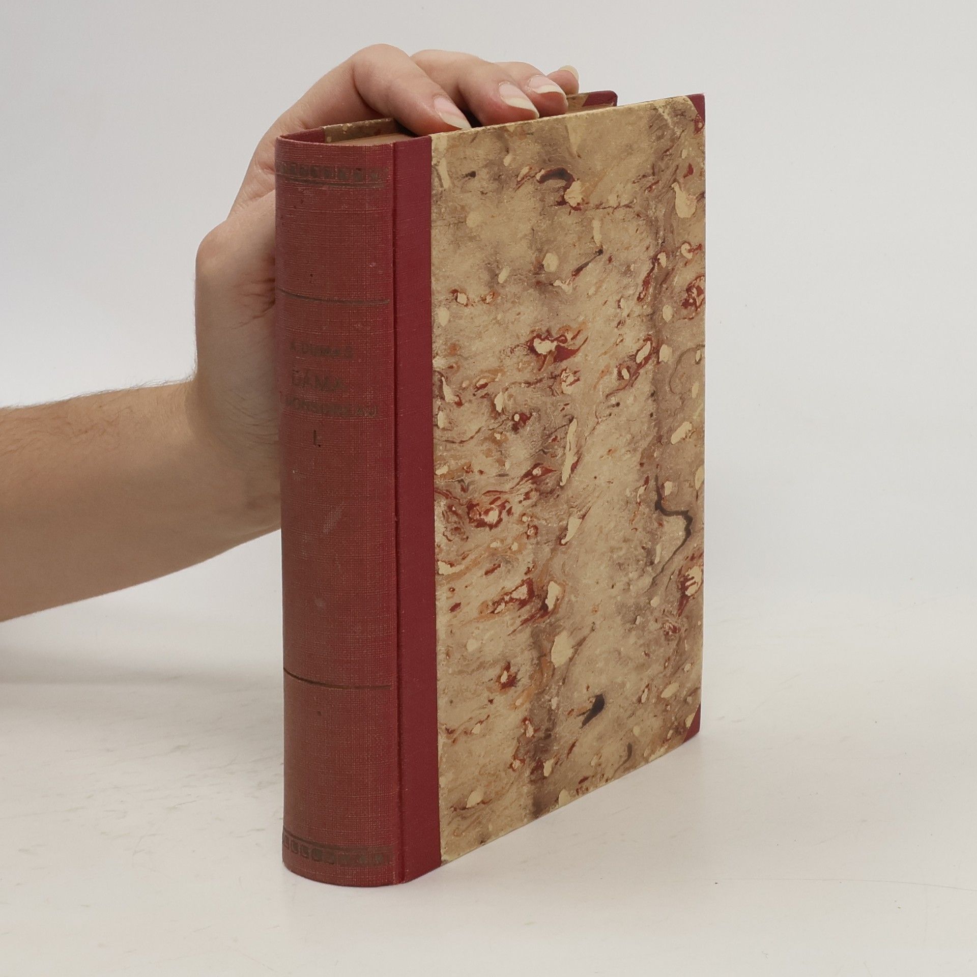 Alexandre Dumas Dáma z Monsoreau. O korunu a lásku 1