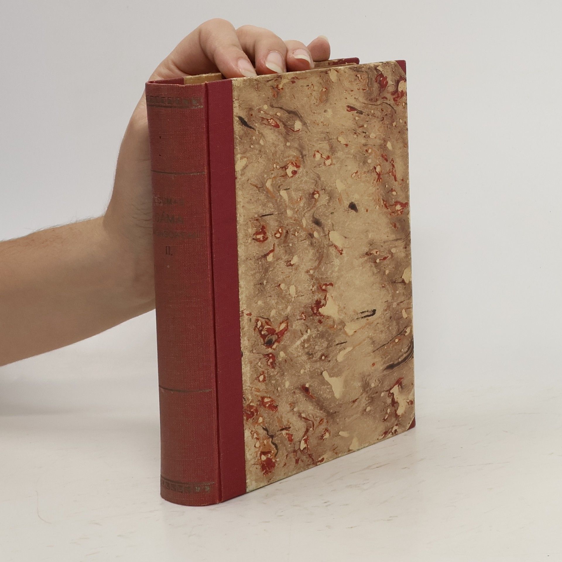 Alexandre Dumas Dáma z monsoreau 2