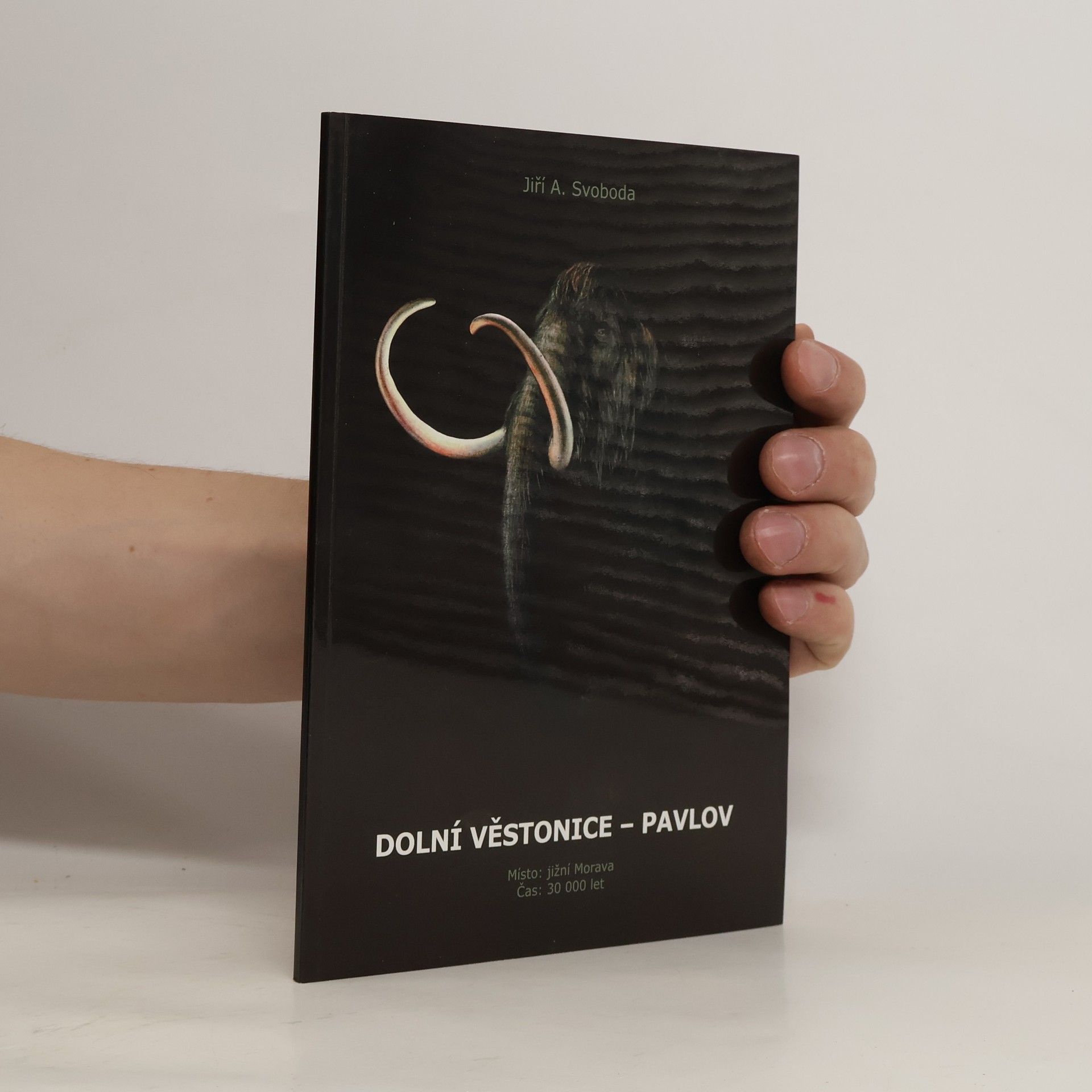 Jiří A. Svoboda Dolní Věstonice - Pavlov