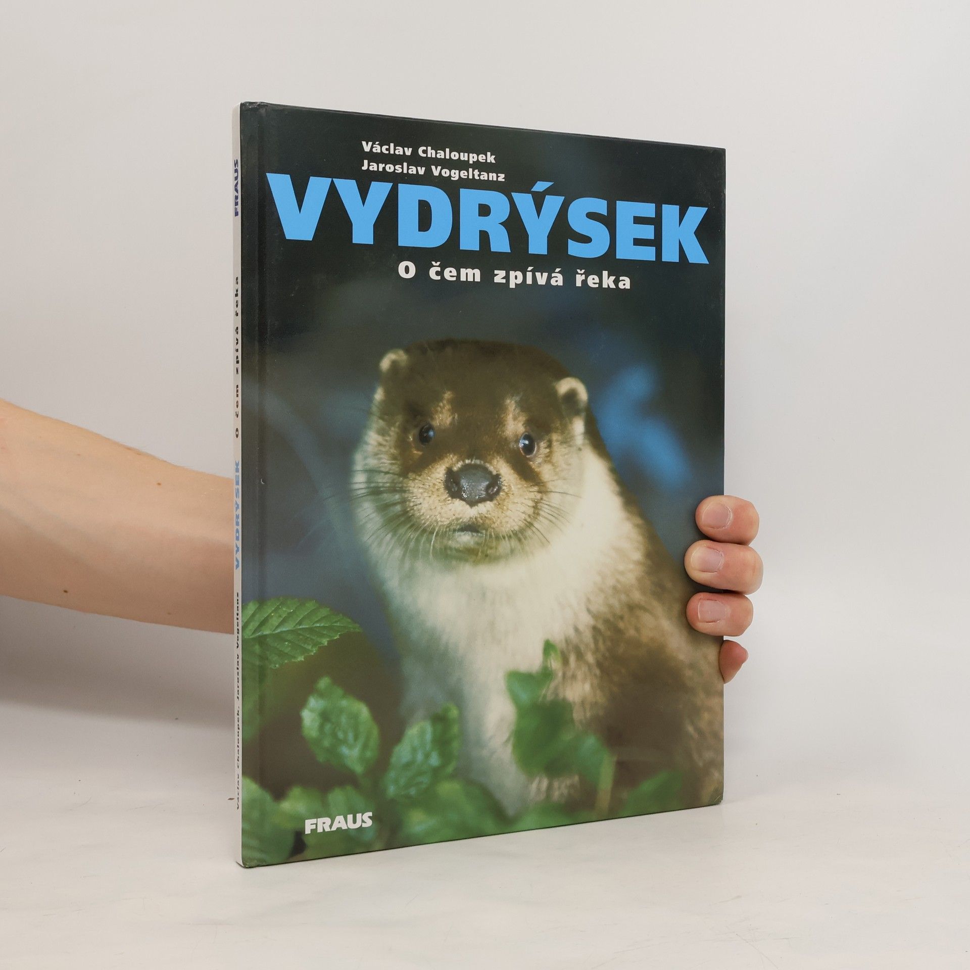 Jaroslav Vogeltanz Vydrýsek. O čem zpívá řeka
